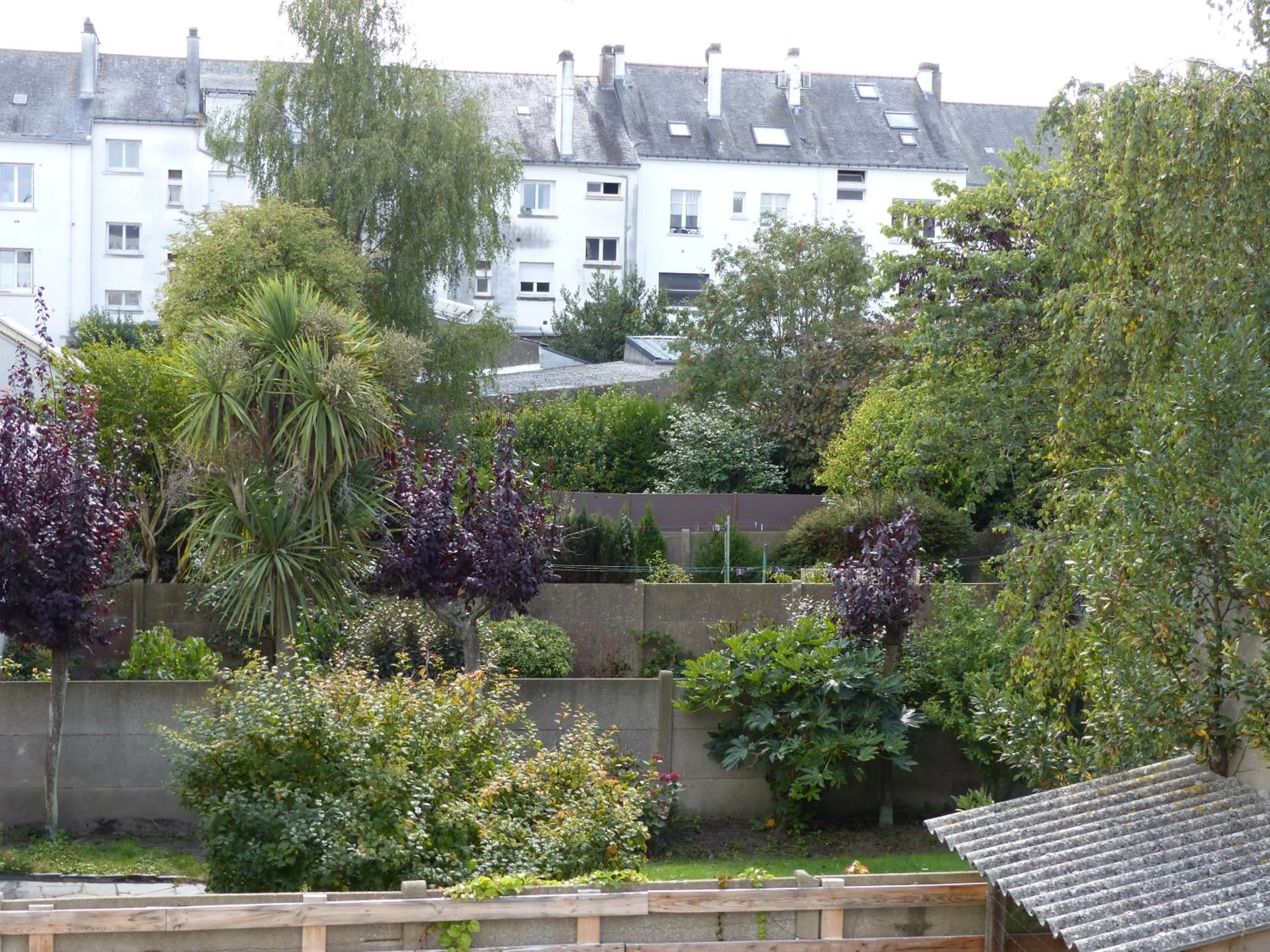 Garden view in Hotel La Belle Etoile