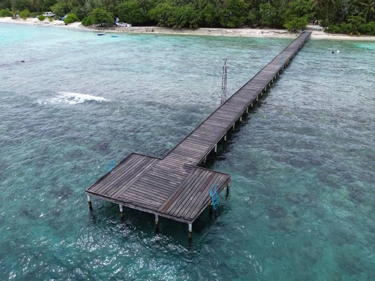 Beach in Turtle Maldives - Your Gateway to the Beach & Marine Adventures Await!