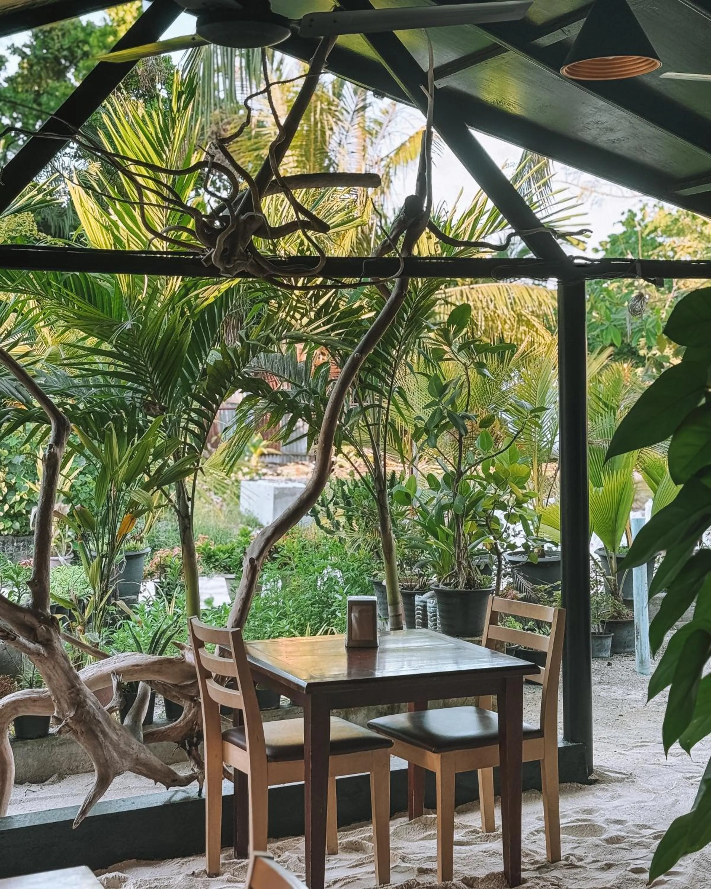 Day in Turtle Maldives - Your Gateway to the Beach & Marine Adventures Await!