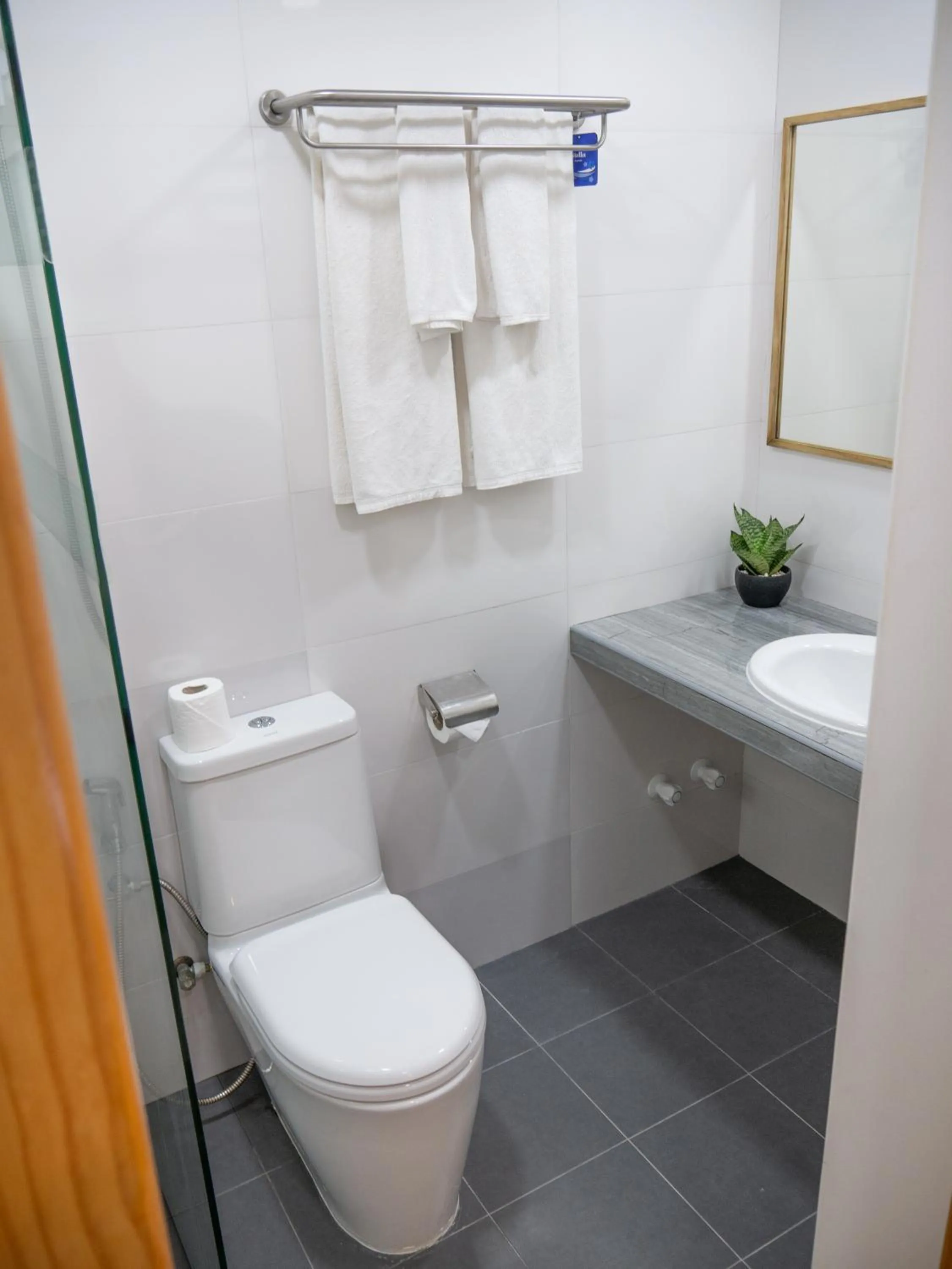 Toilet in Turtle Maldives - Your Gateway to the Beach & Marine Adventures Await!