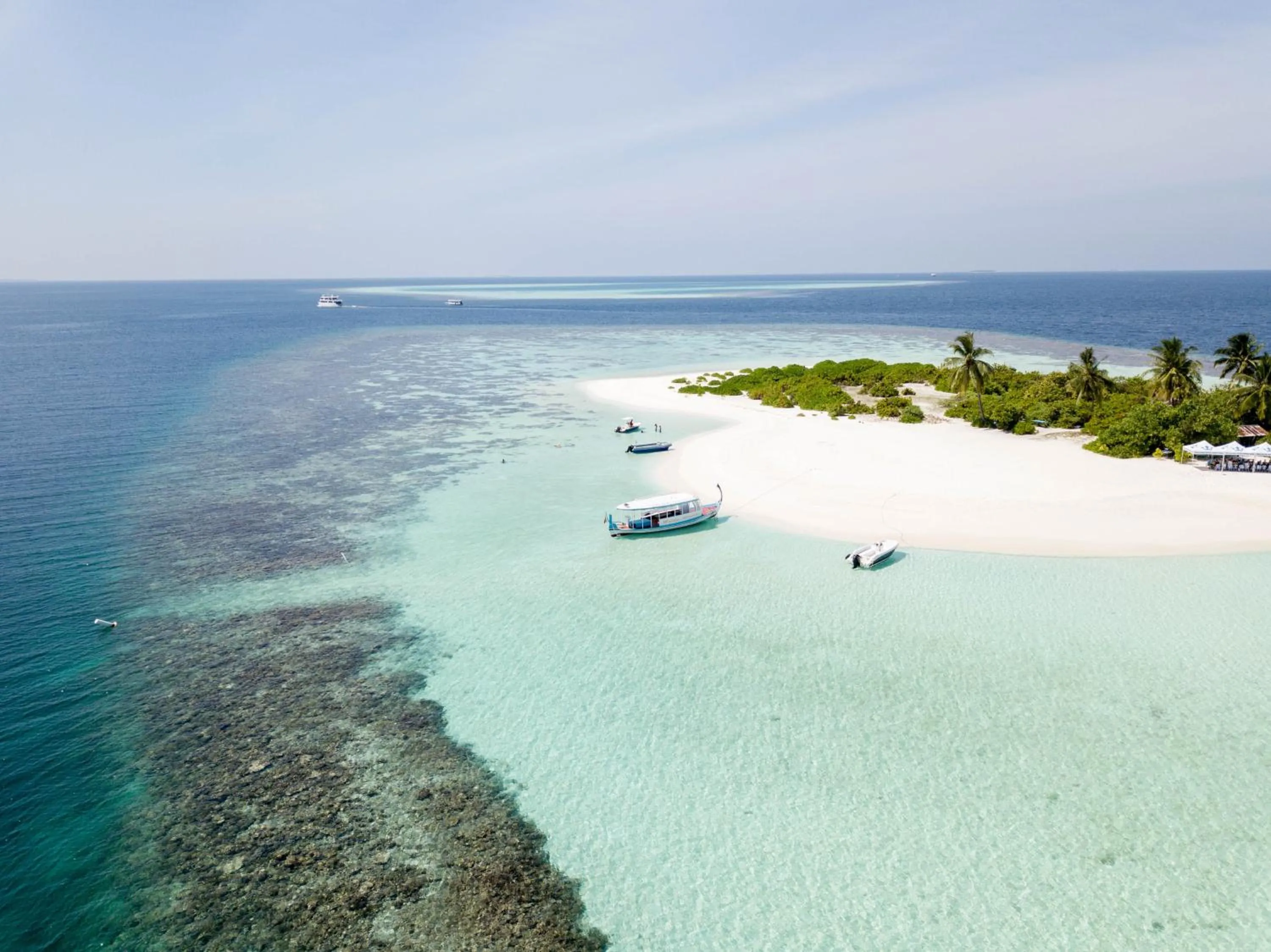 Activities in Turtle Maldives - Your Gateway to the Beach & Marine Adventures Await!