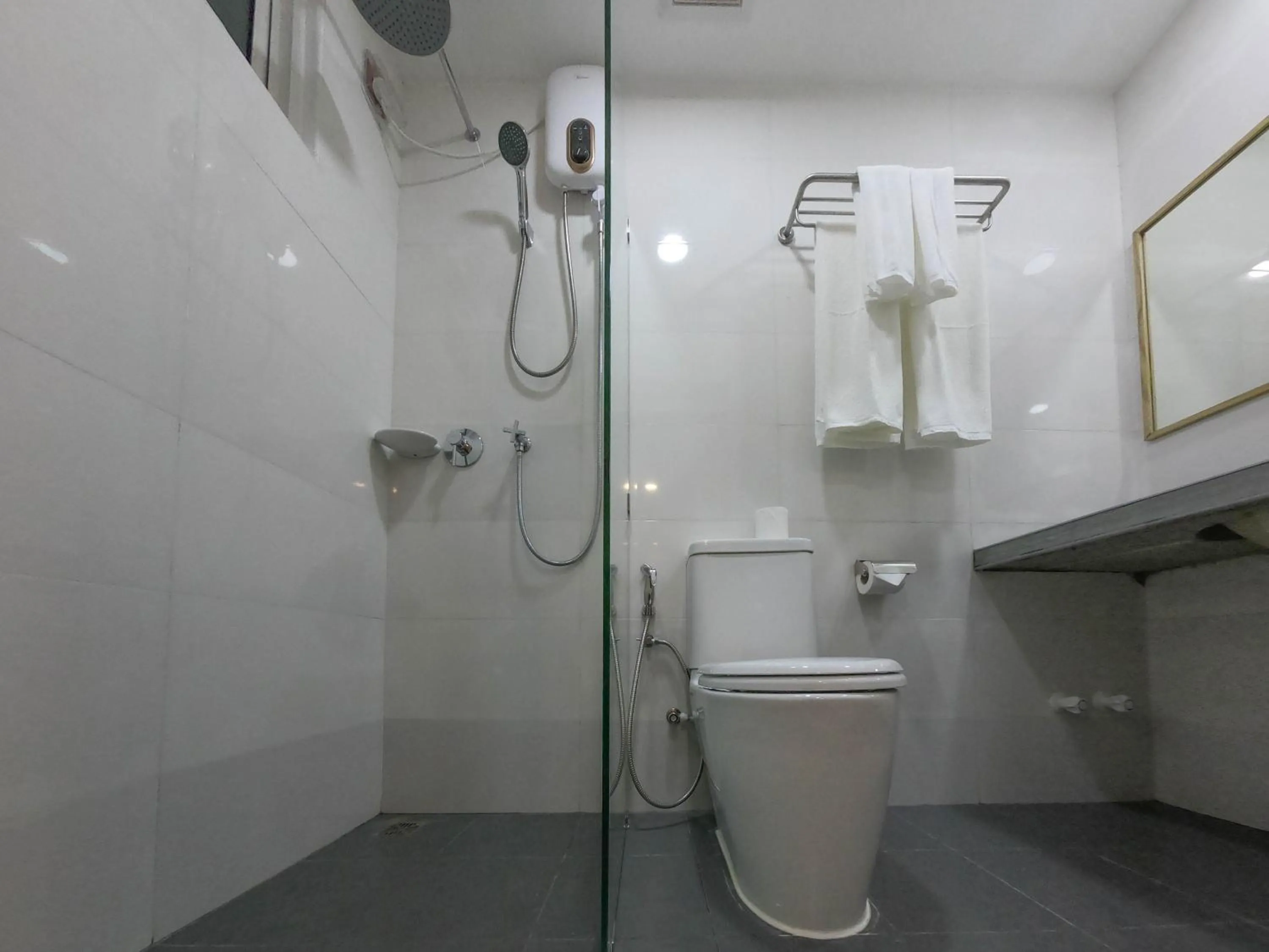 Toilet in Turtle Maldives - Your Gateway to the Beach & Marine Adventures Await!