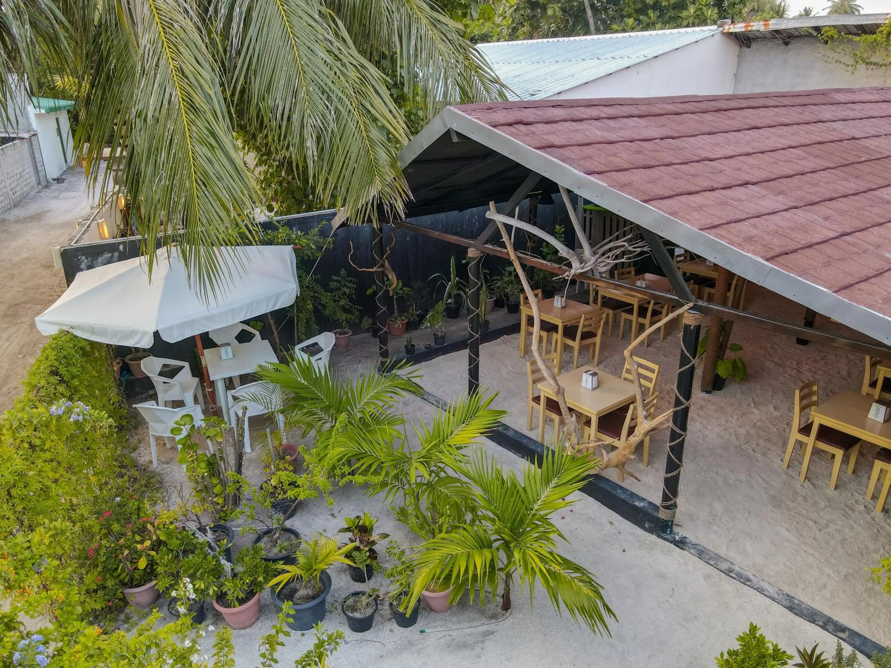 Restaurant/places to eat in Turtle Maldives - Your Gateway to the Beach & Marine Adventures Await!