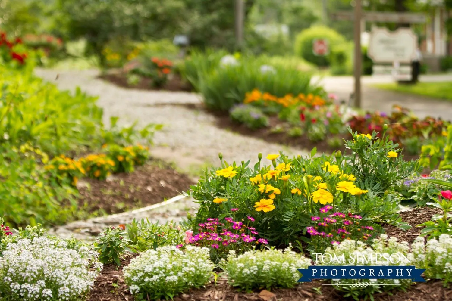 Willard Richards Inn