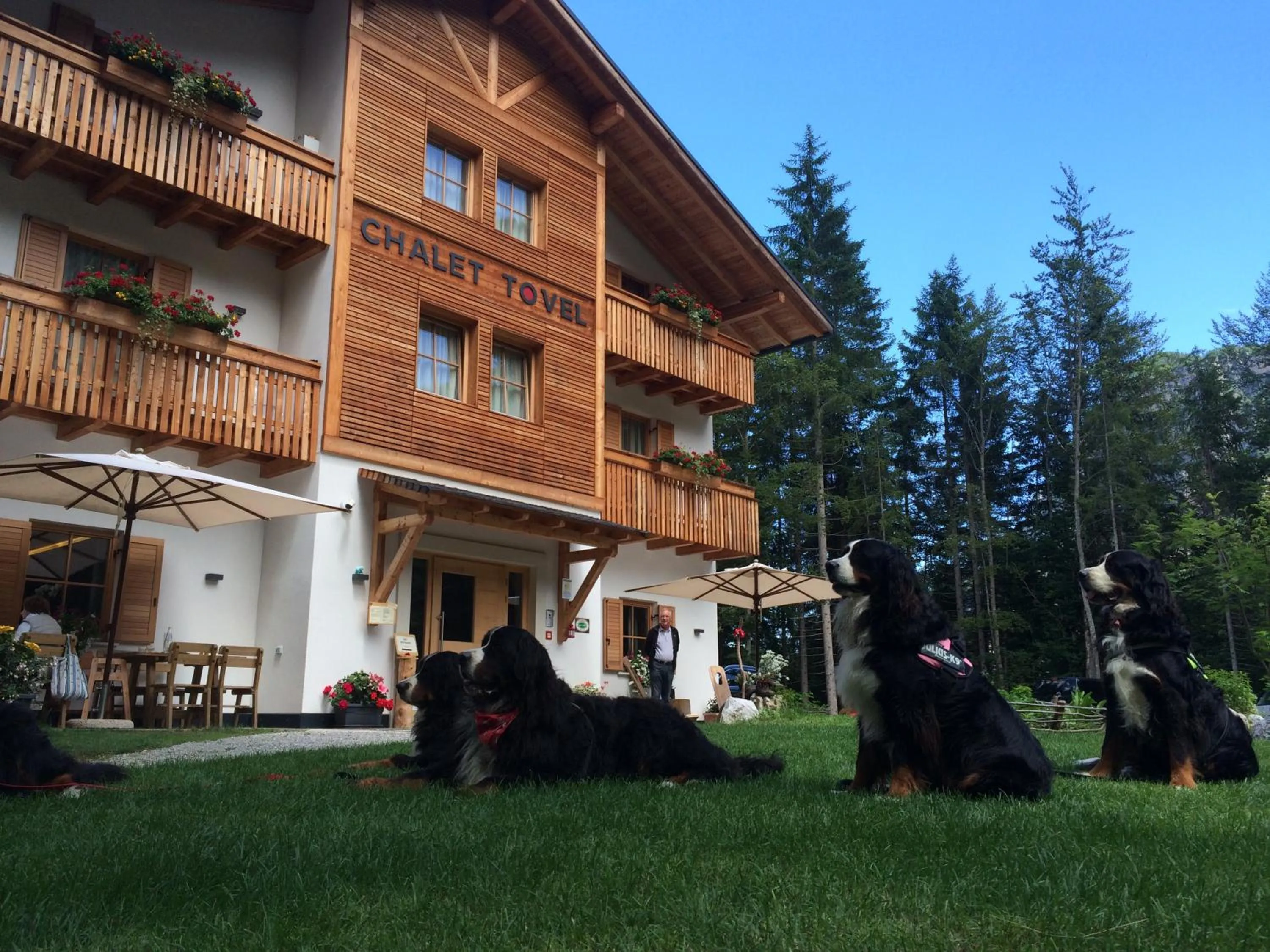 Property building in Chalet Tovel - Mountain Lake