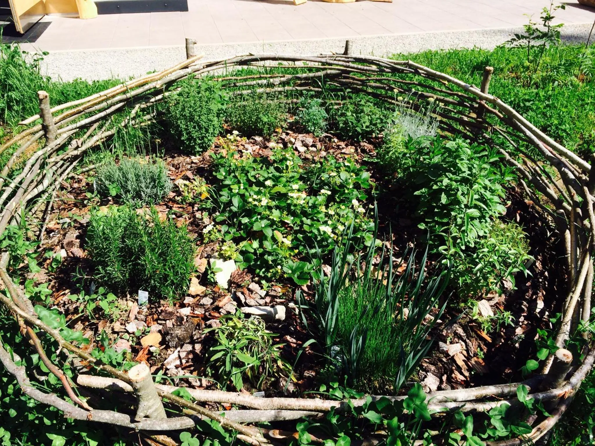Garden in Chalet Tovel - Mountain Lake