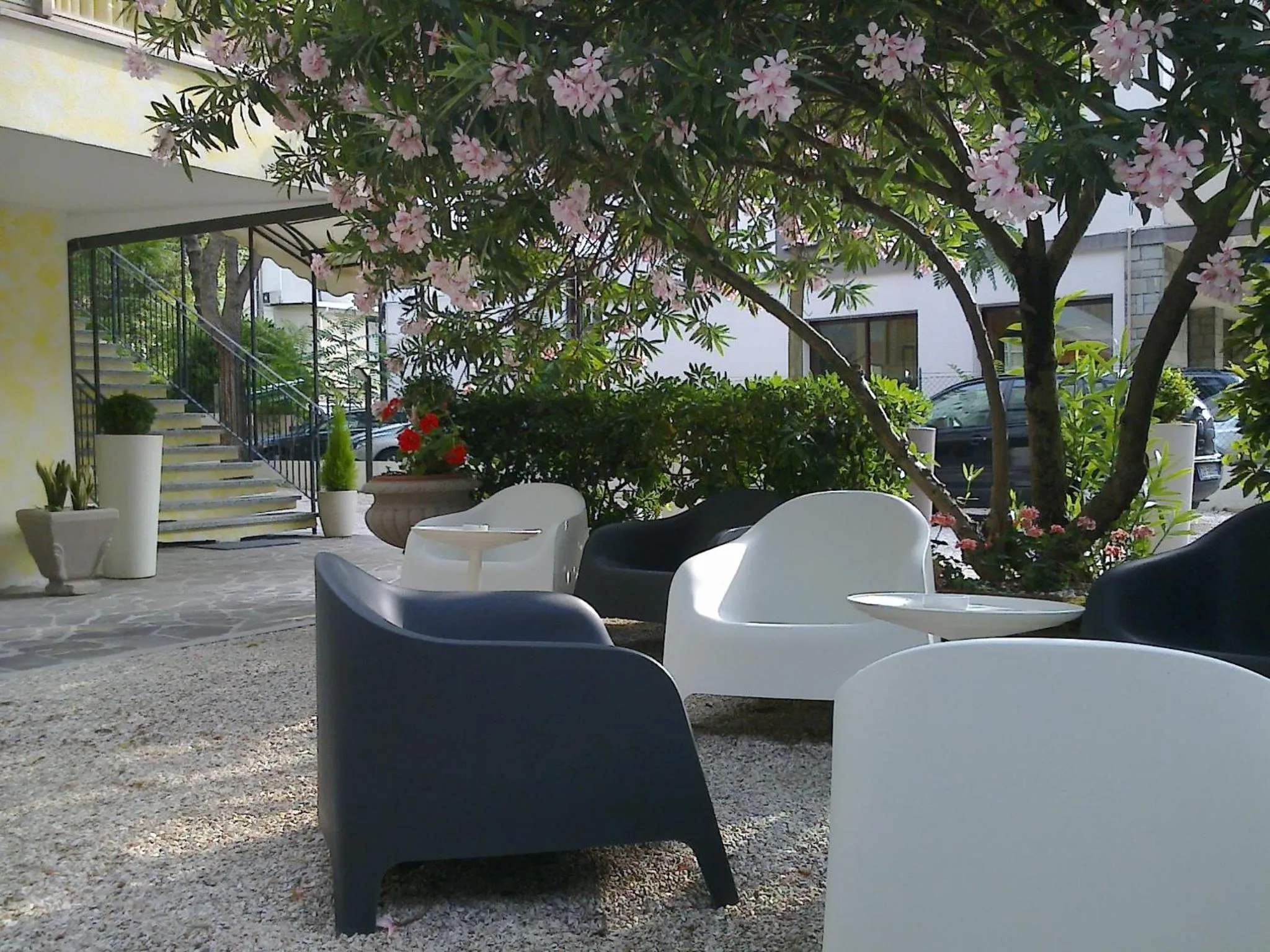 Garden in Hotel Augustus