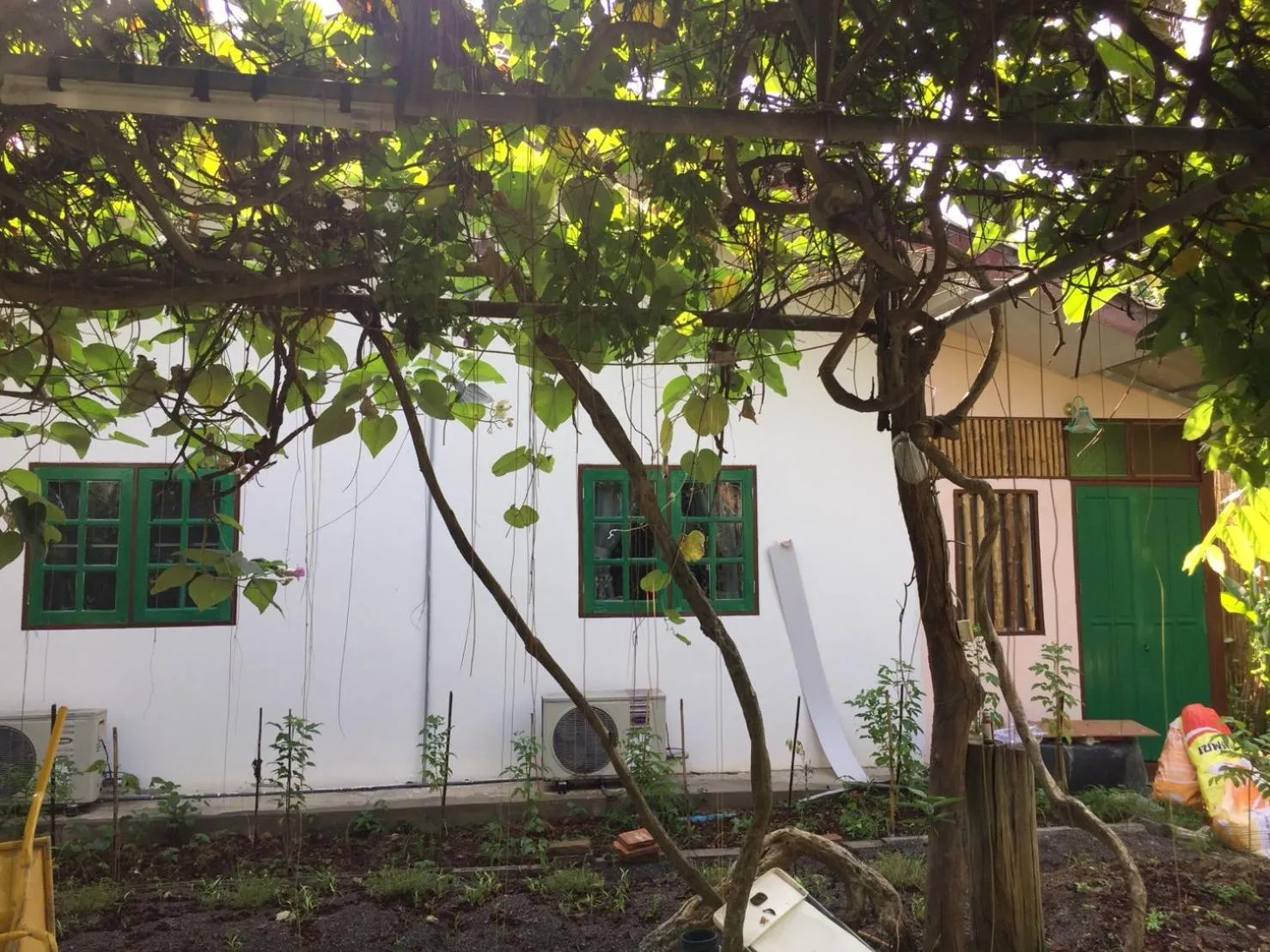 Garden view in Sanita Cottage