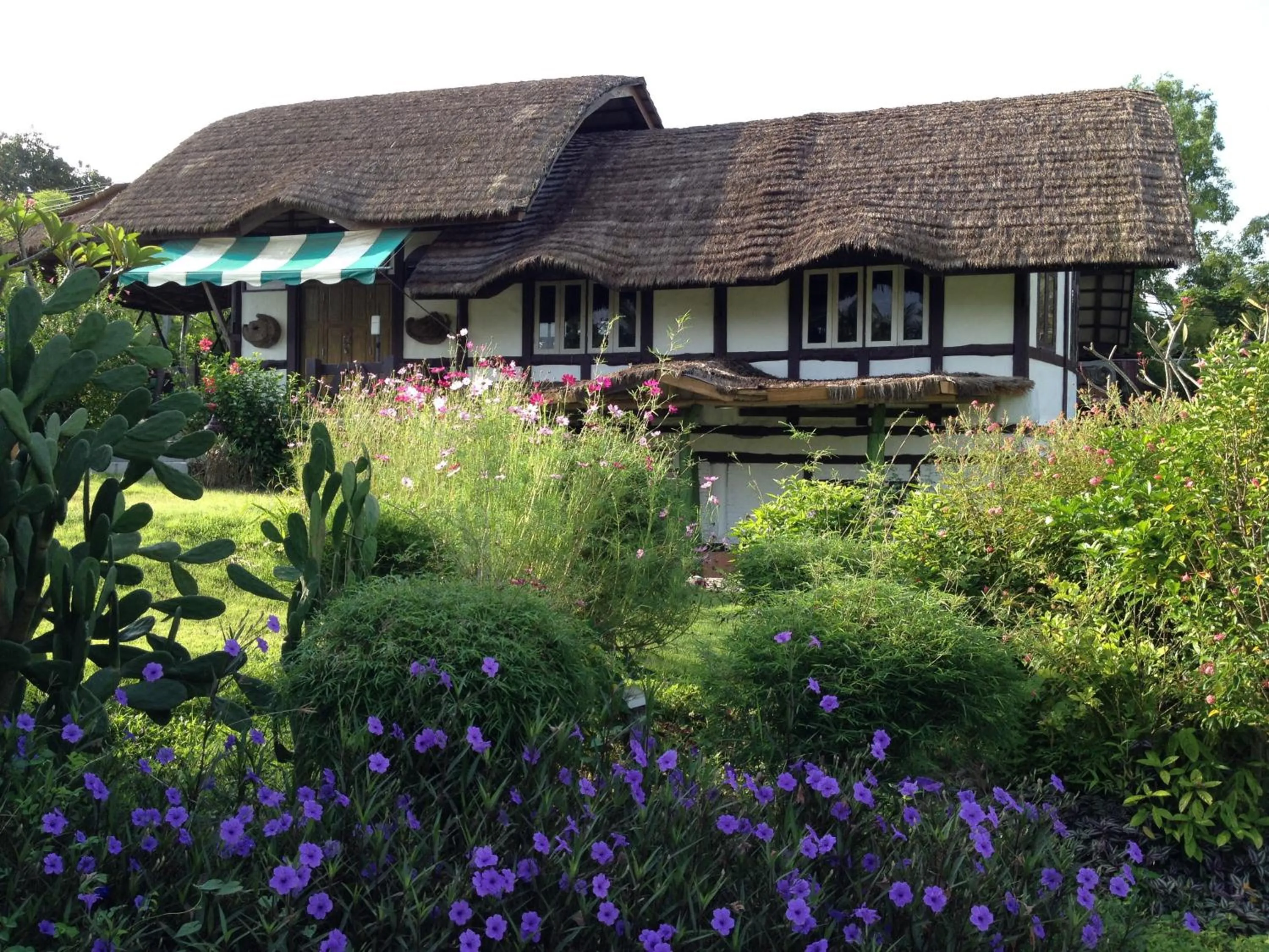 Natural landscape in Sanita Cottage