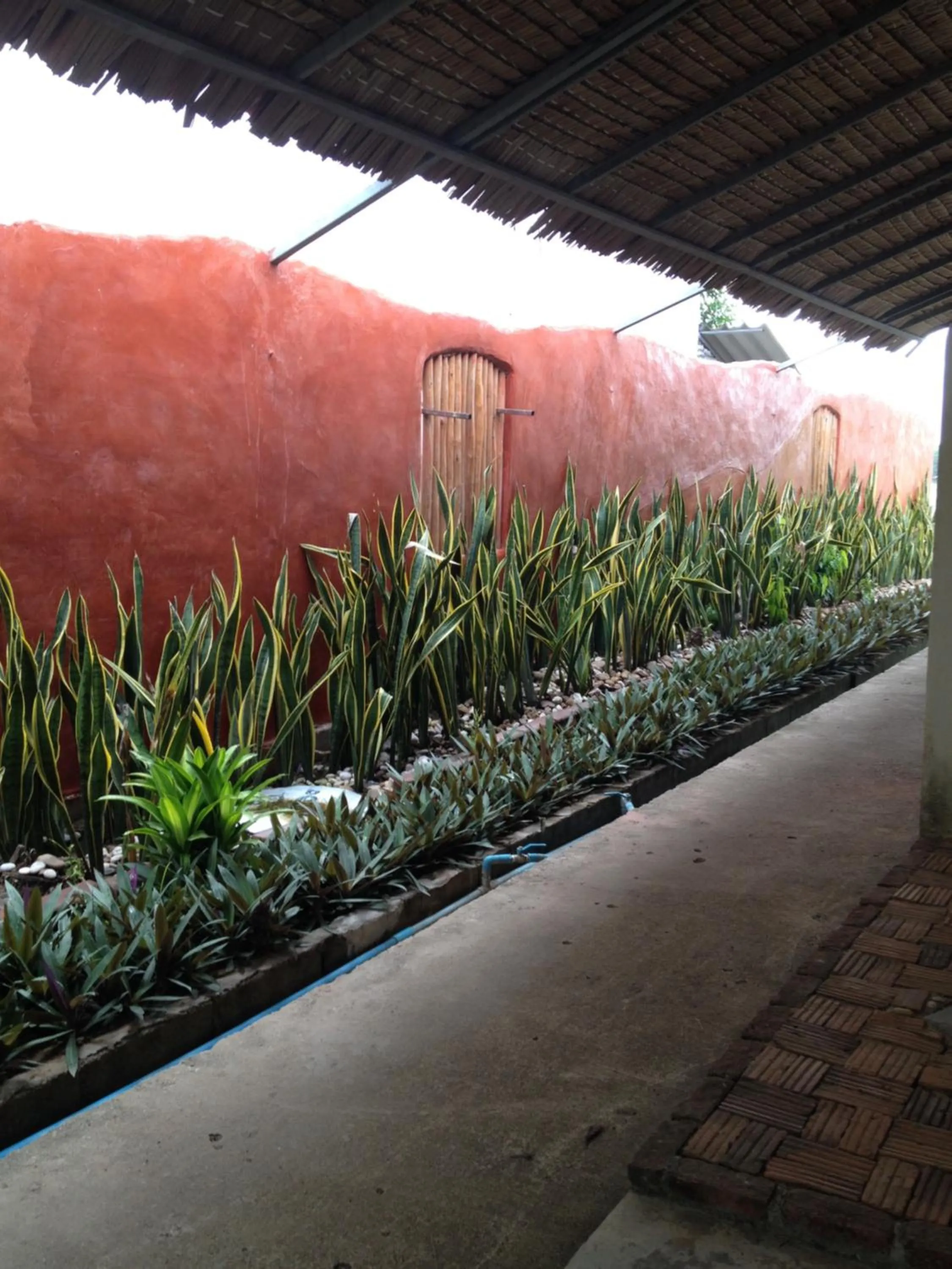 Natural landscape in Sanita Cottage