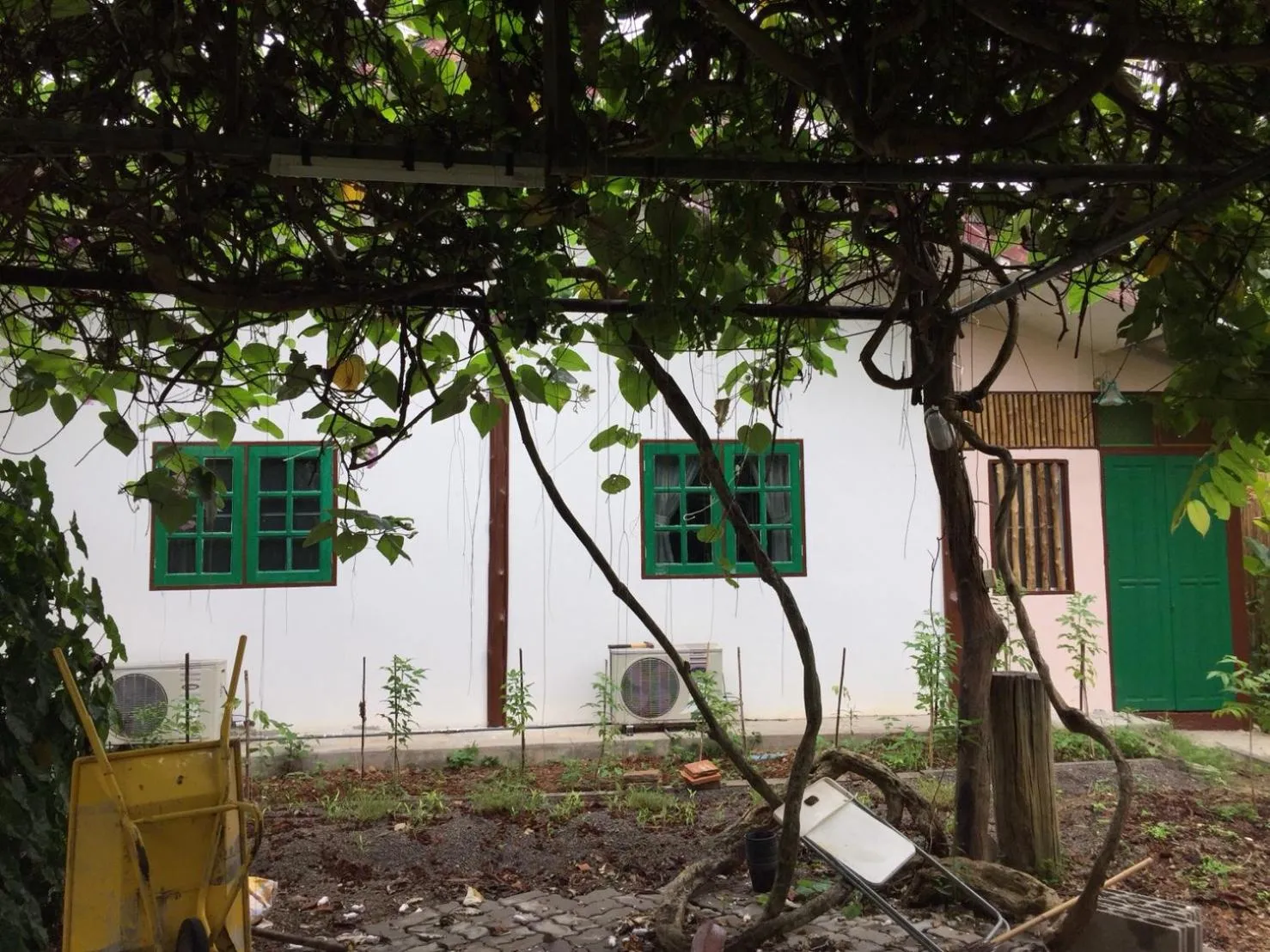 Property building in Sanita Cottage