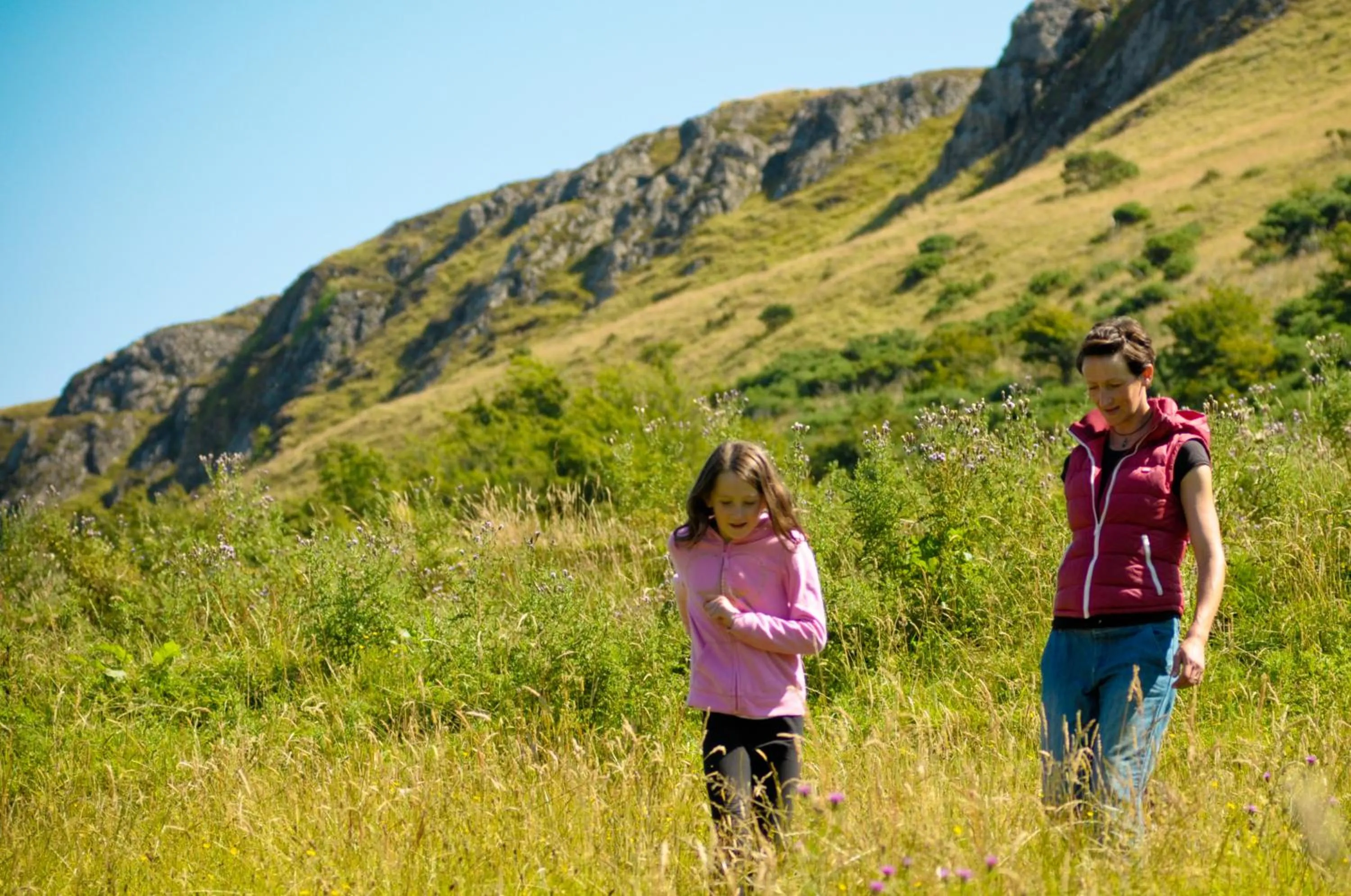 Natural landscape in Woodland Bay Hotel