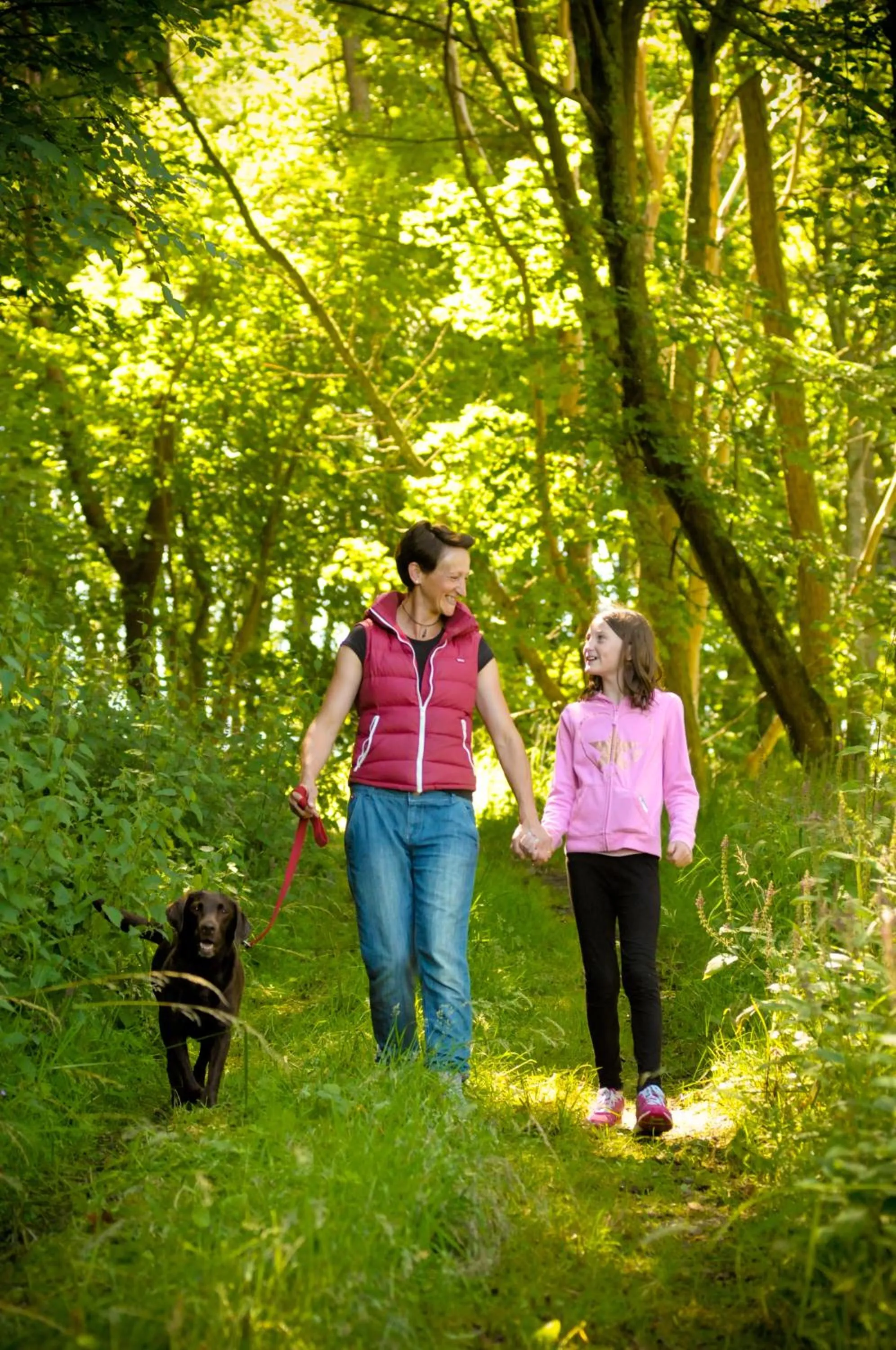 Natural landscape in Woodland Bay Hotel