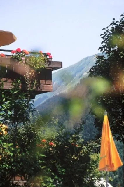 Facade/entrance in Hotel Adler Garni