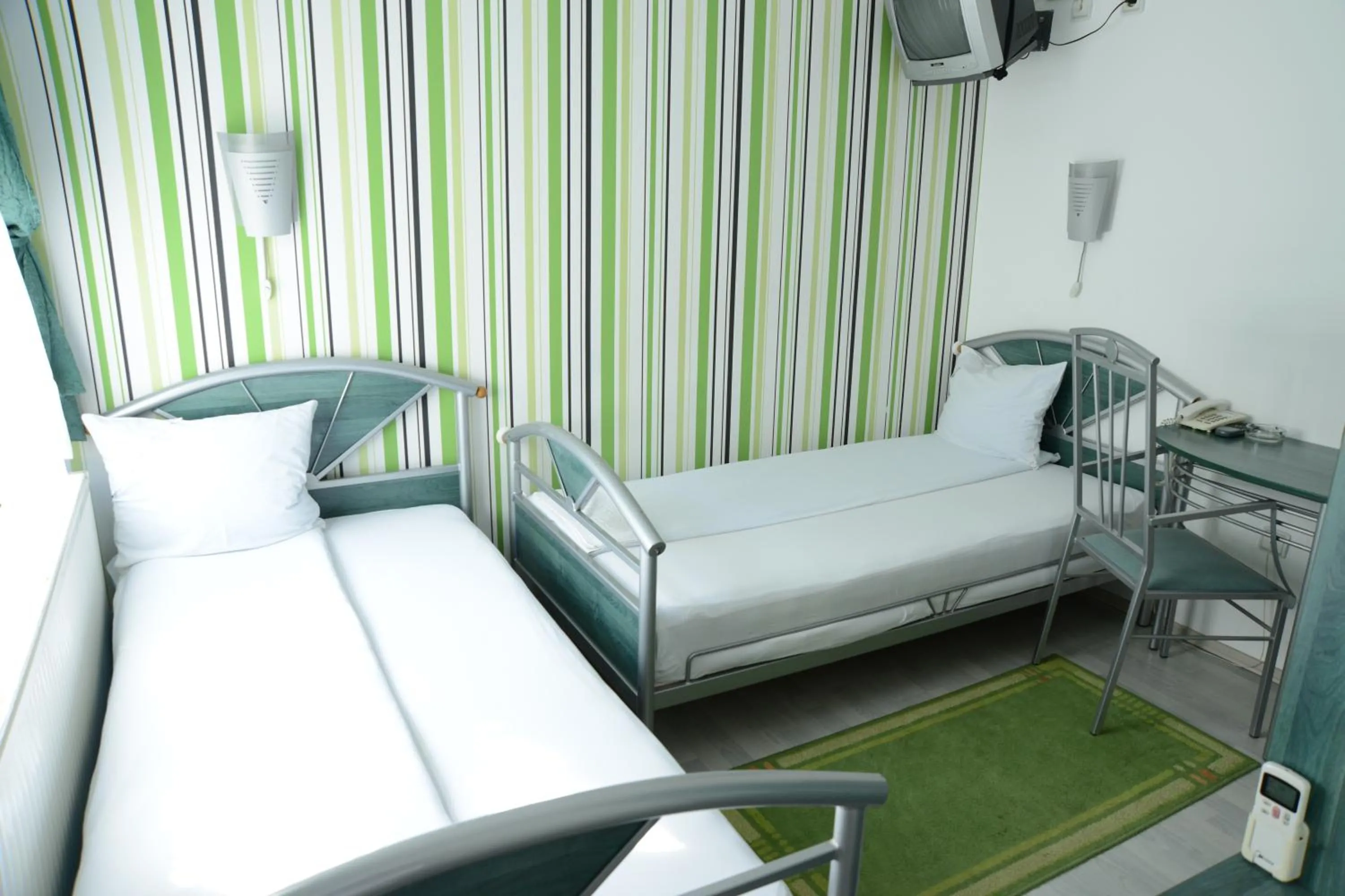Twin Room in Hotel Ženeva