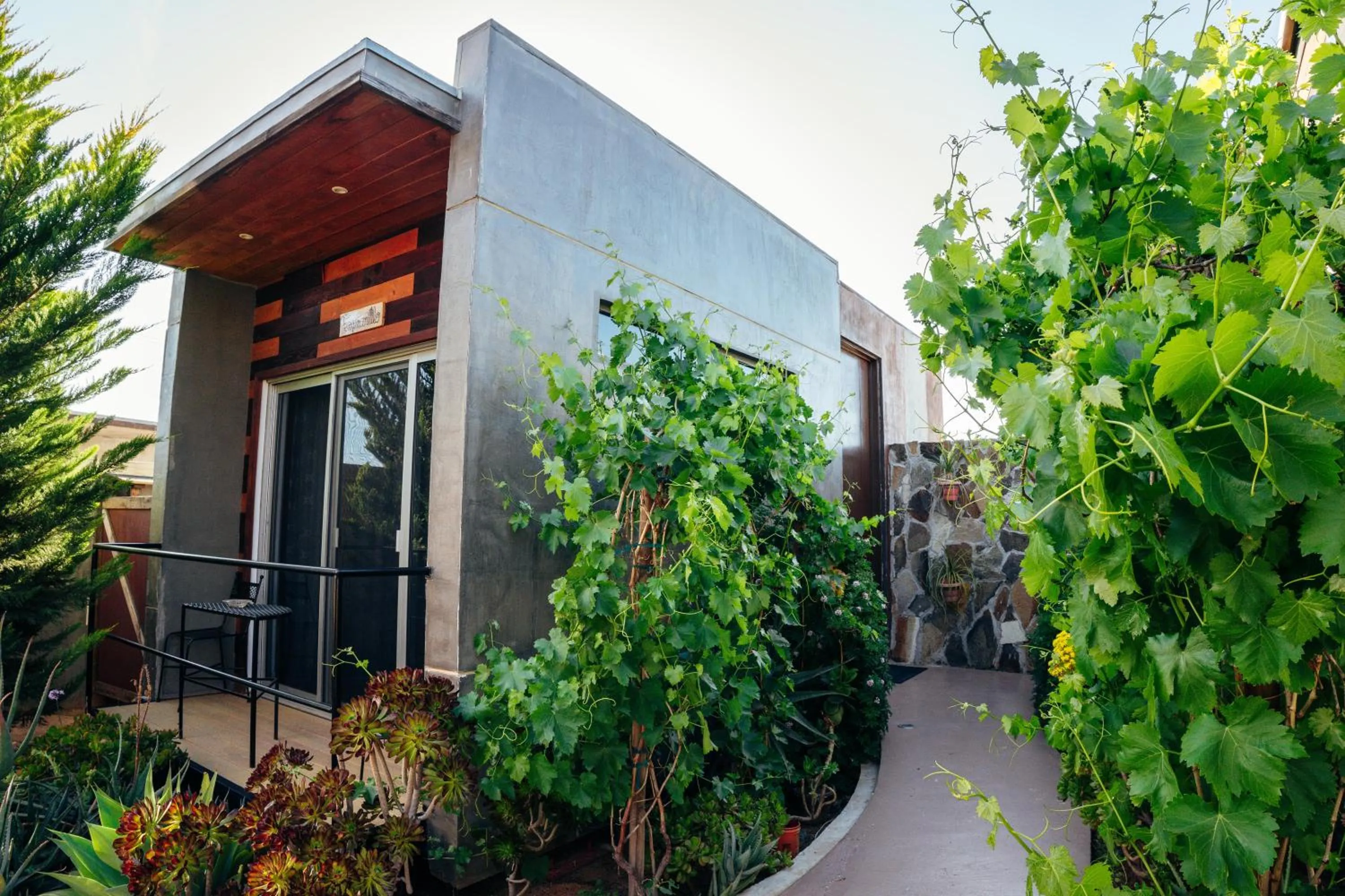 Property building in Entre Vides Valle de Guadalupe