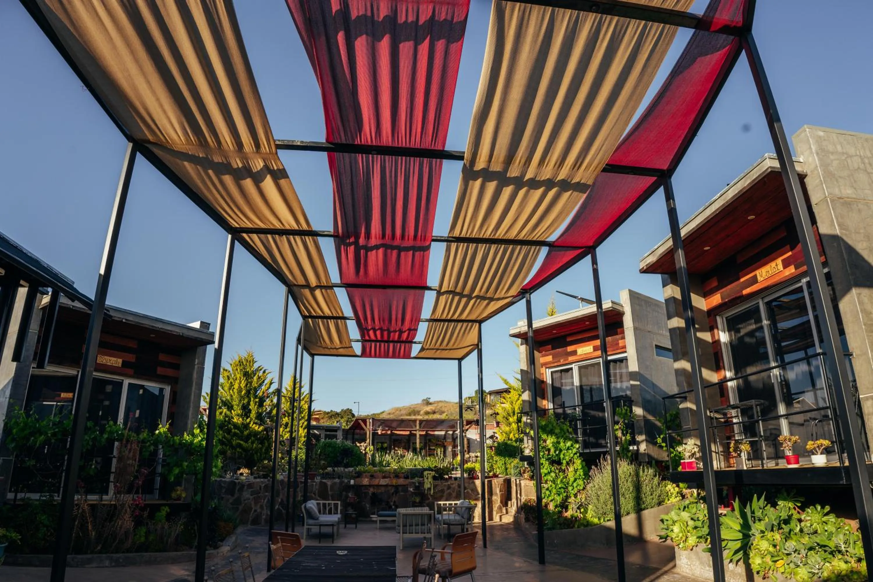 Patio in Entre Vides Valle de Guadalupe