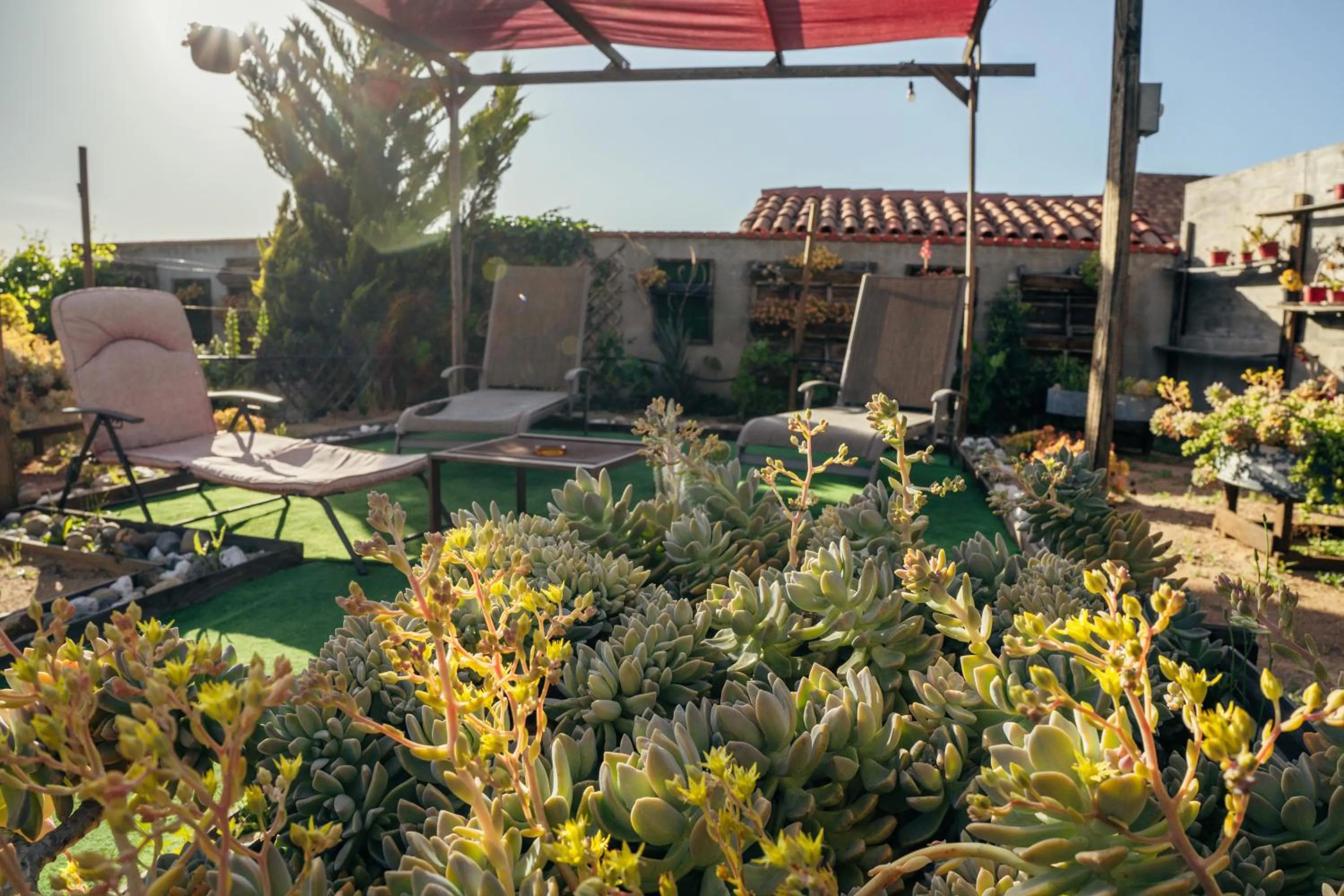 Patio in Entre Vides Valle de Guadalupe