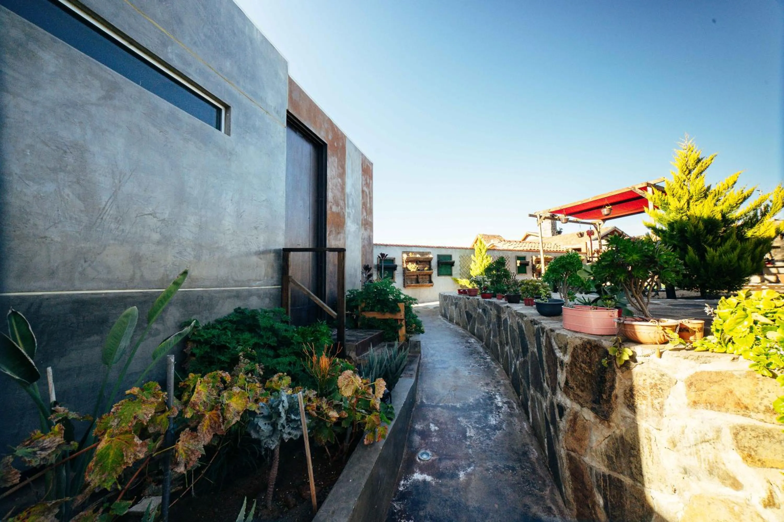 Property building in Entre Vides Valle de Guadalupe