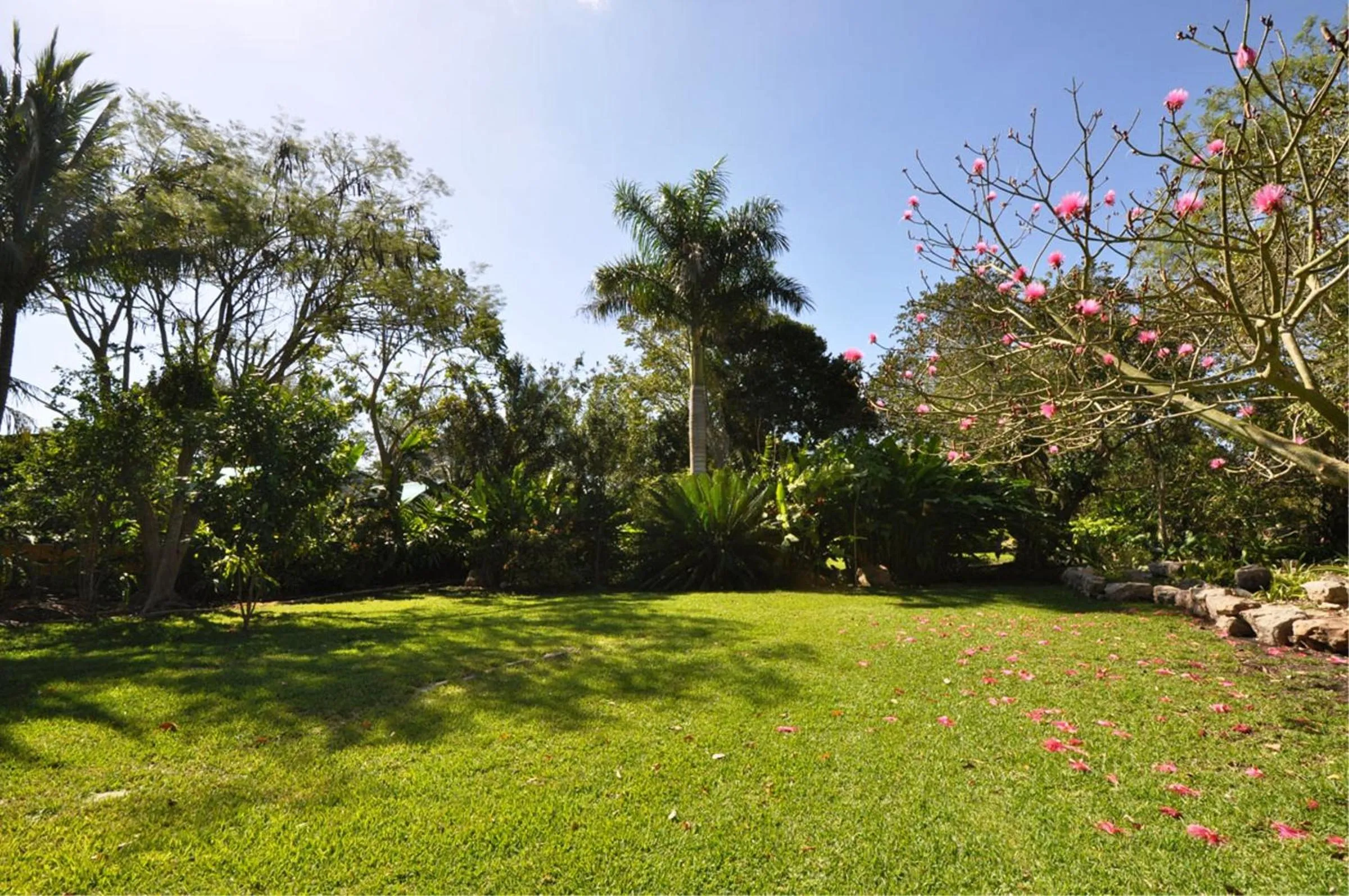 Garden in Hacienda San Francisco Tzacalha