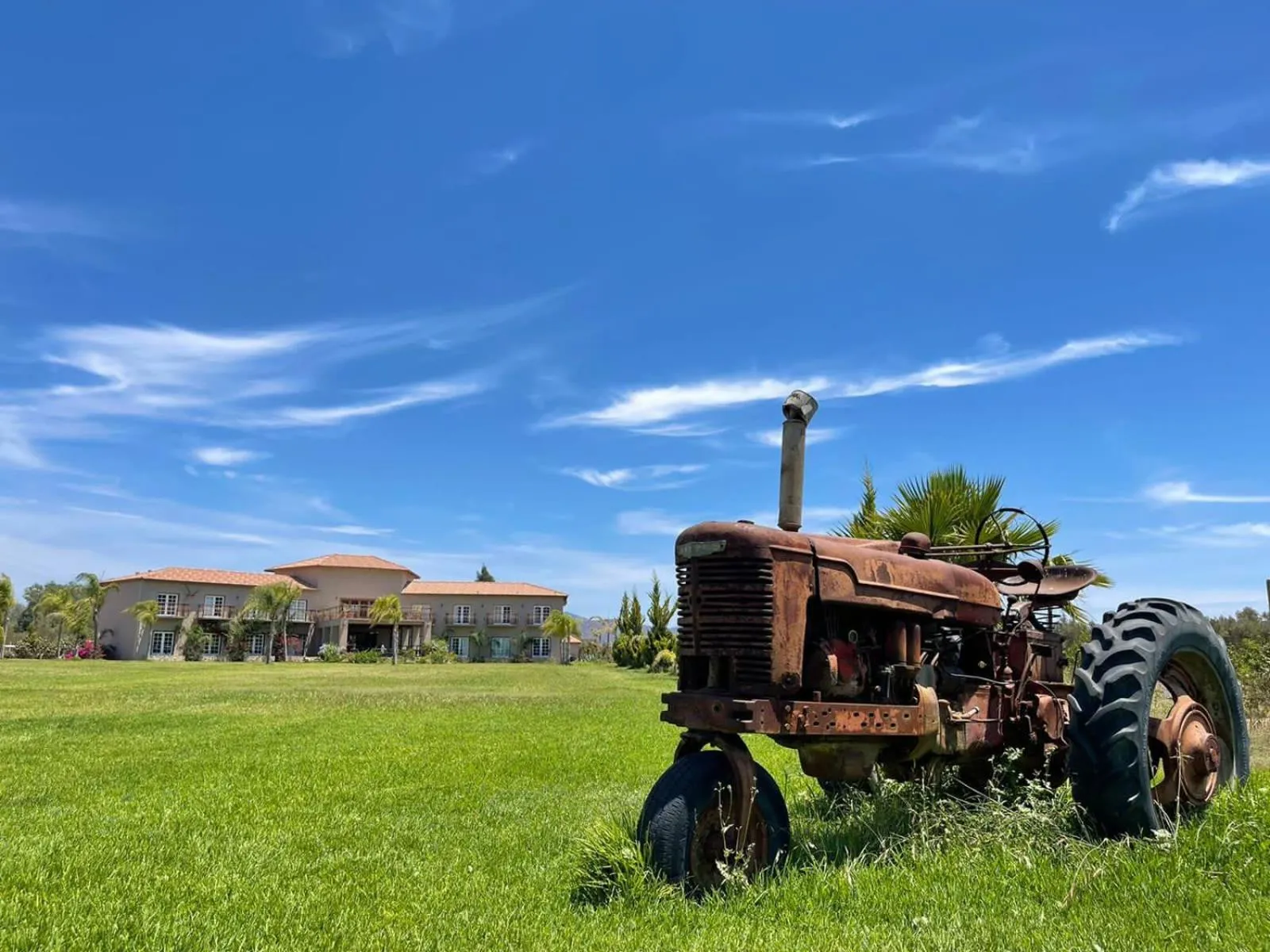Garden in Sueños Resort