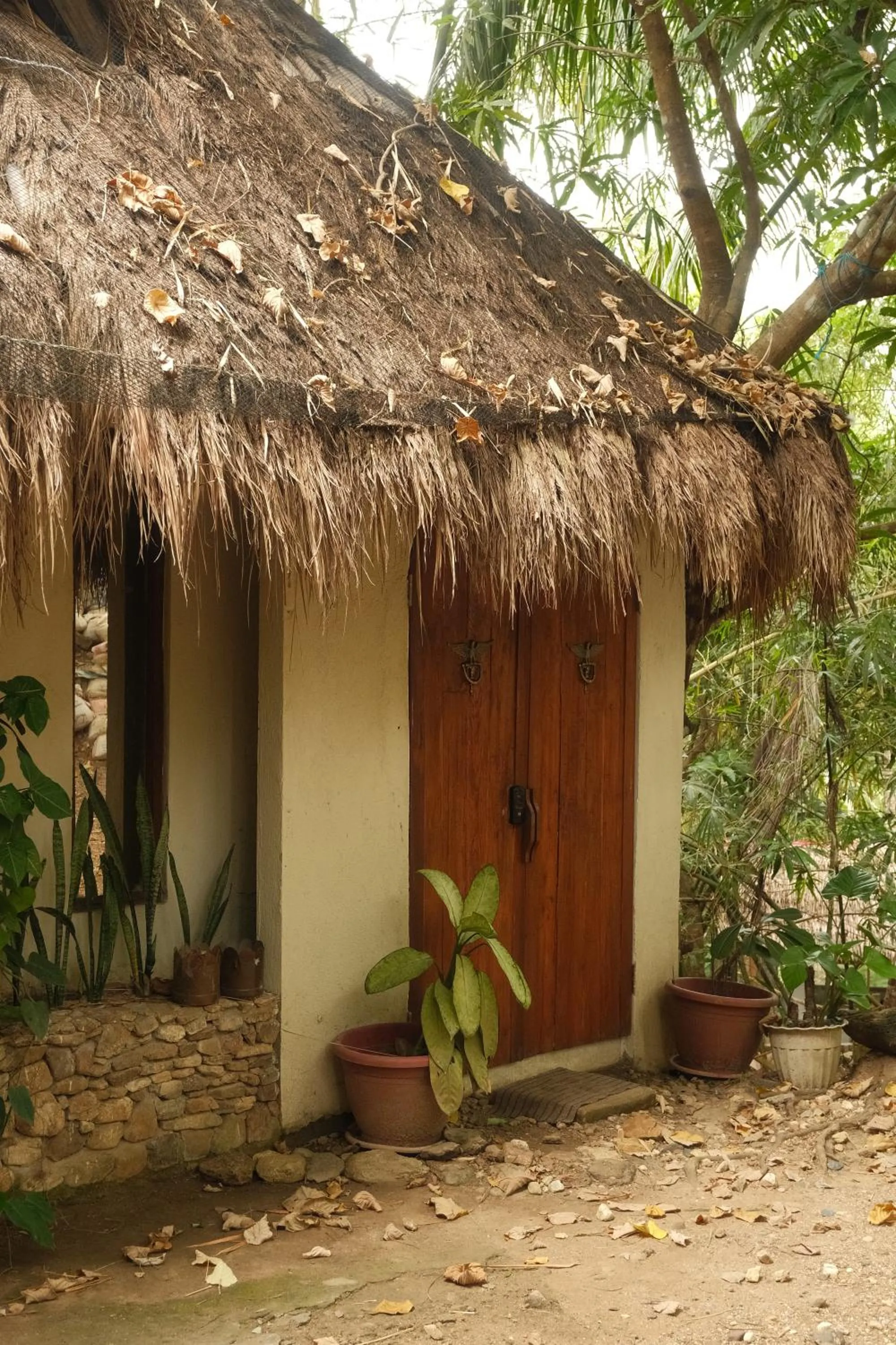 Cocovana Beach Resort