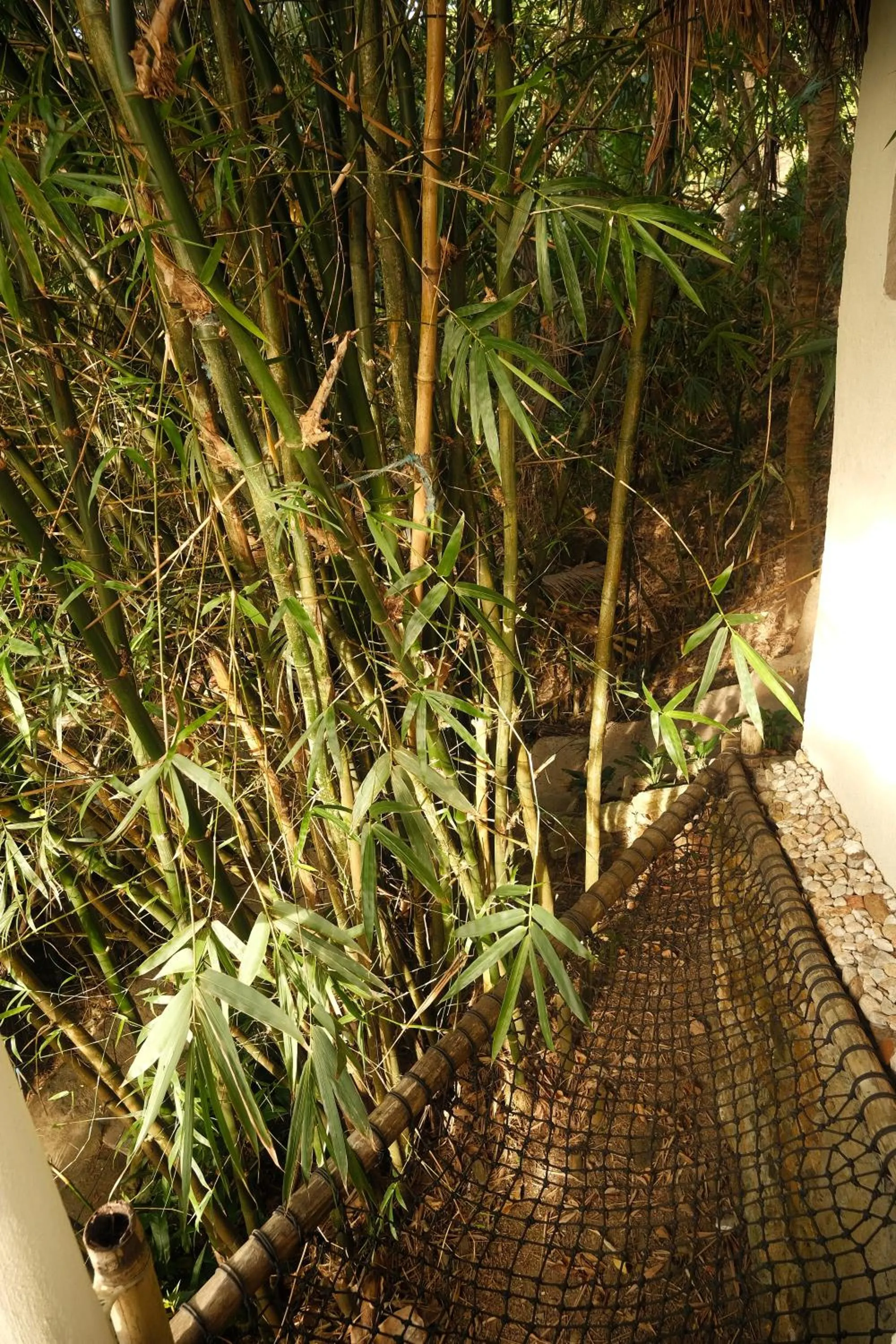 Cocovana Beach Resort