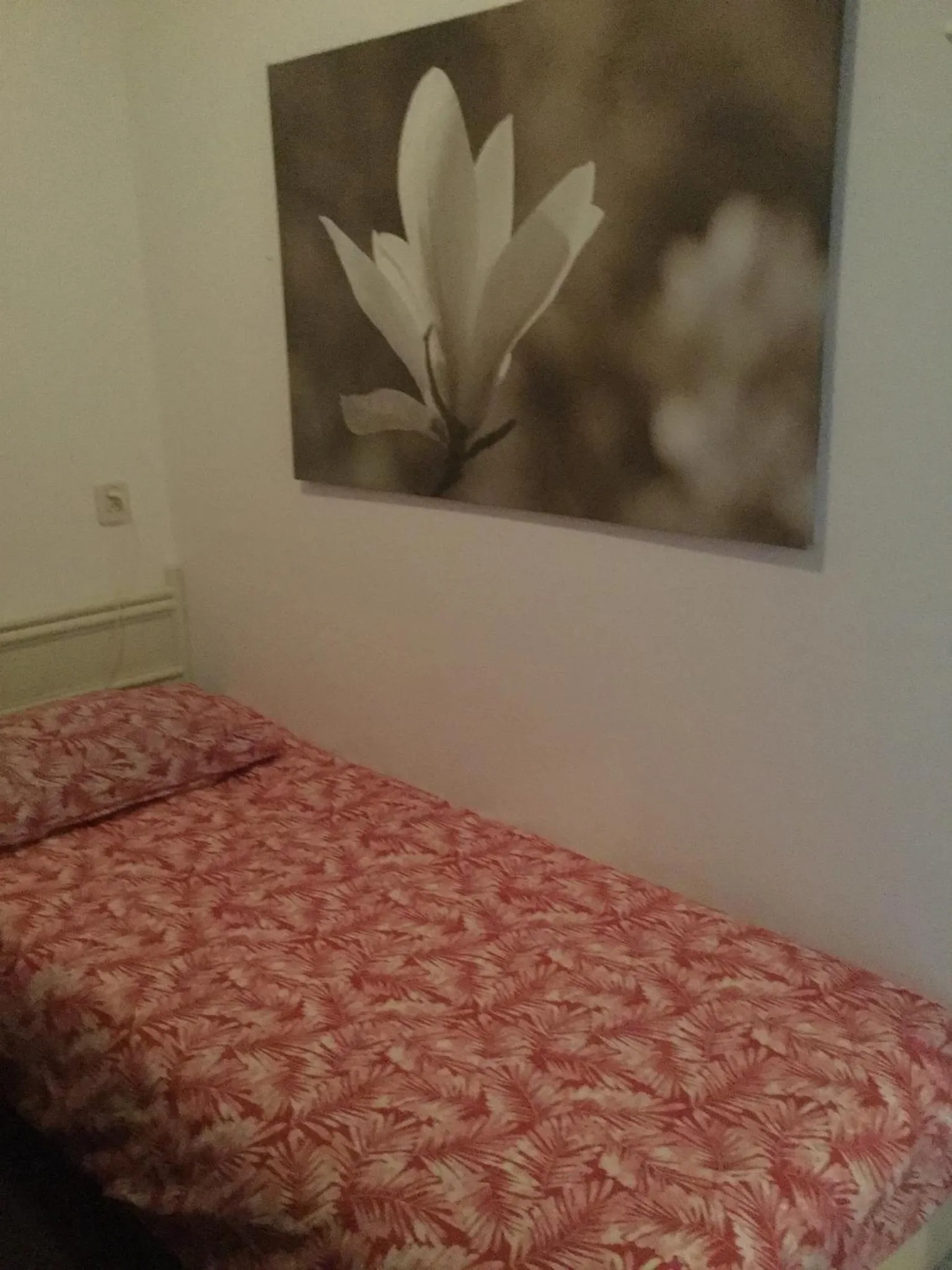 Bedroom, Bed in Zuiderzeestate 28