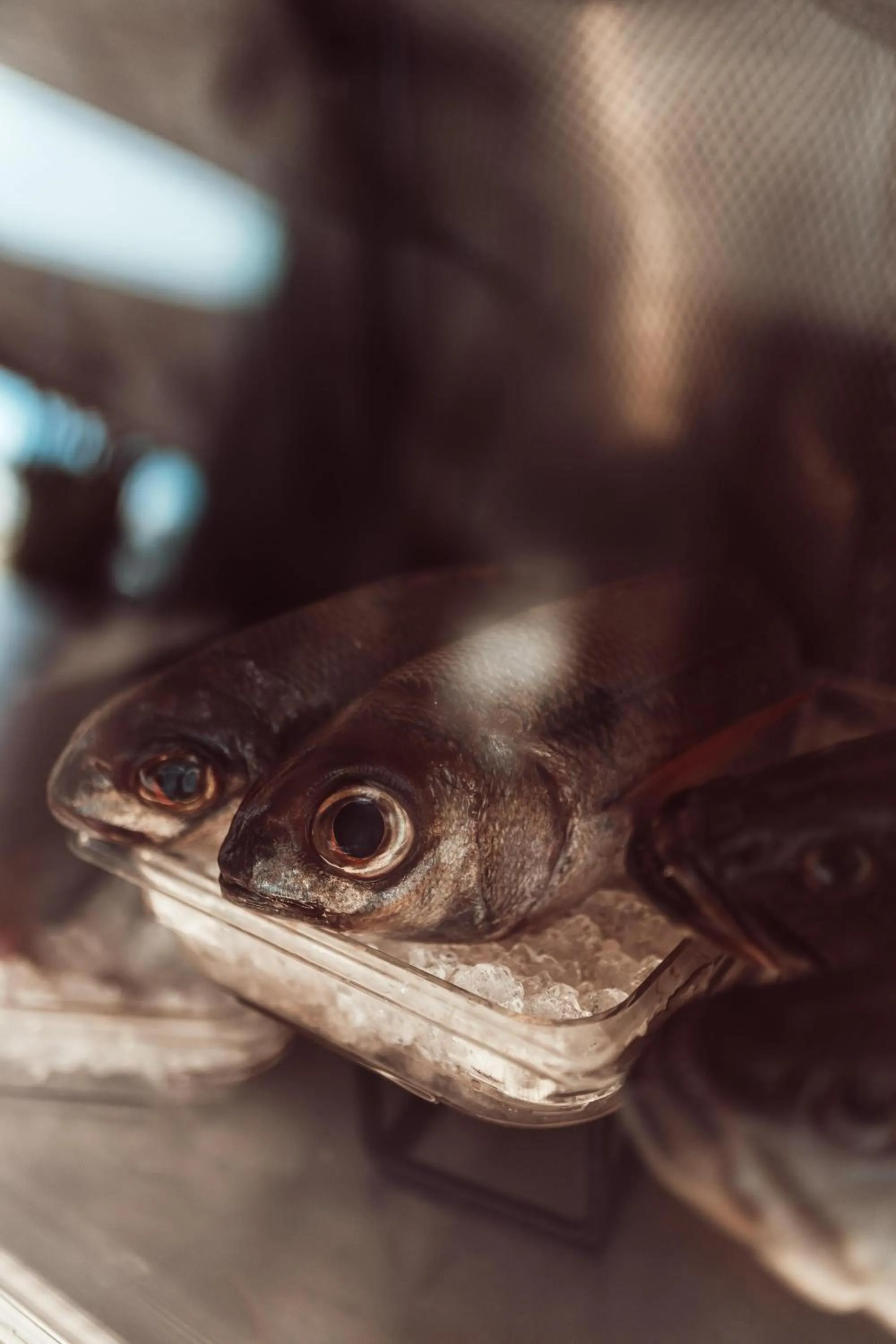 Restaurant/places to eat in Hotel Baobab Suites