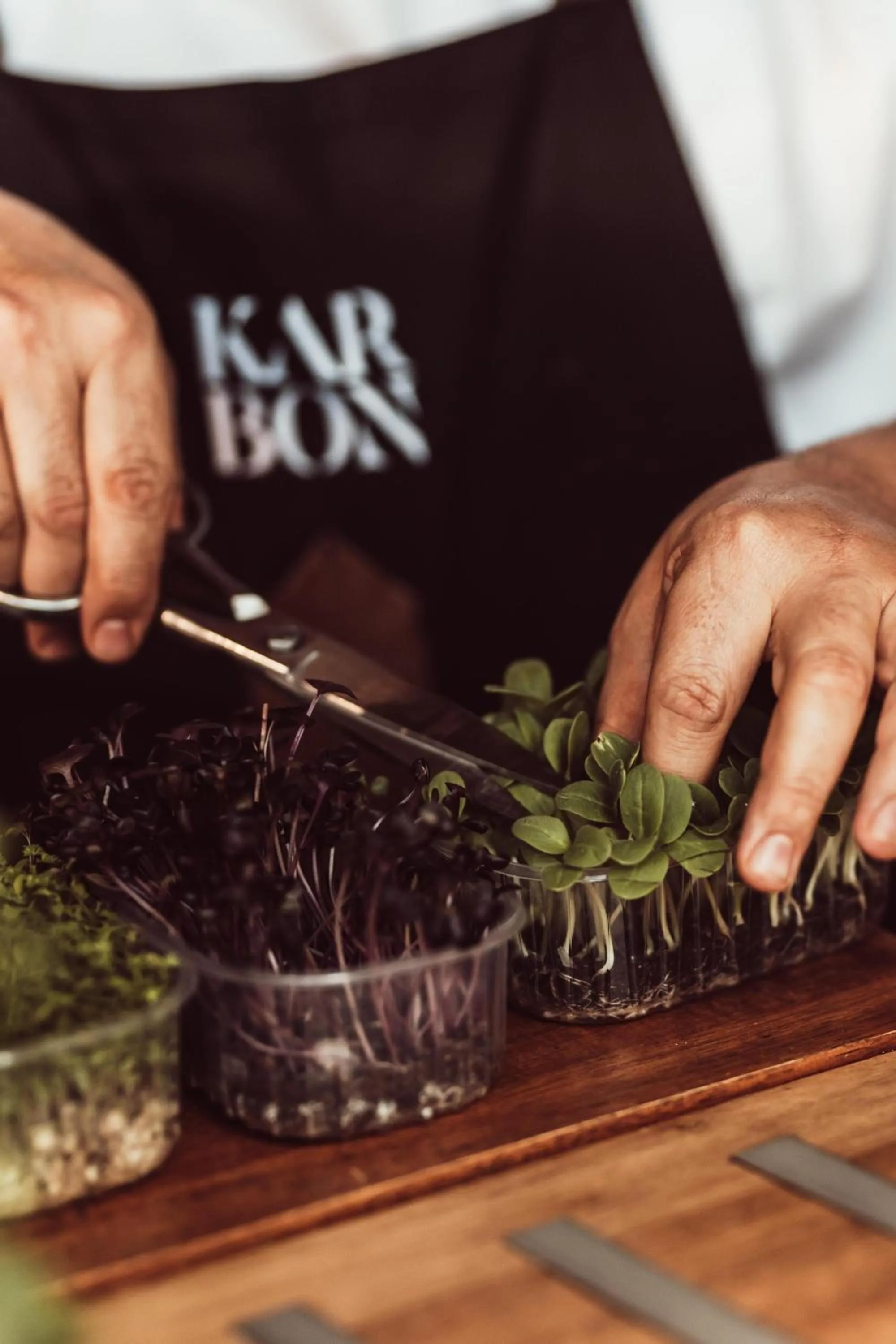 Restaurant/places to eat in Hotel Baobab Suites