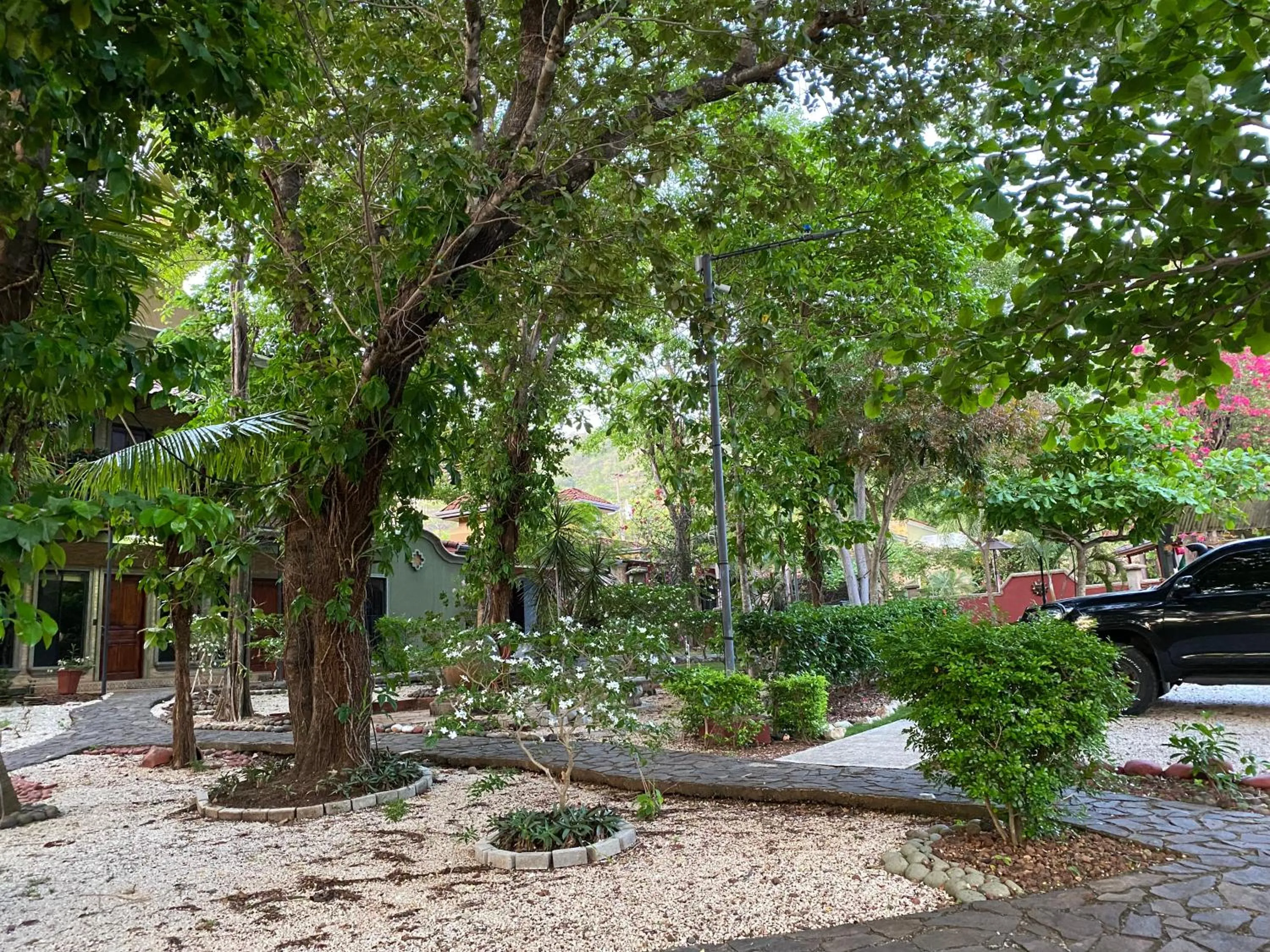 Day in Casas del Toro Playa Flamingo