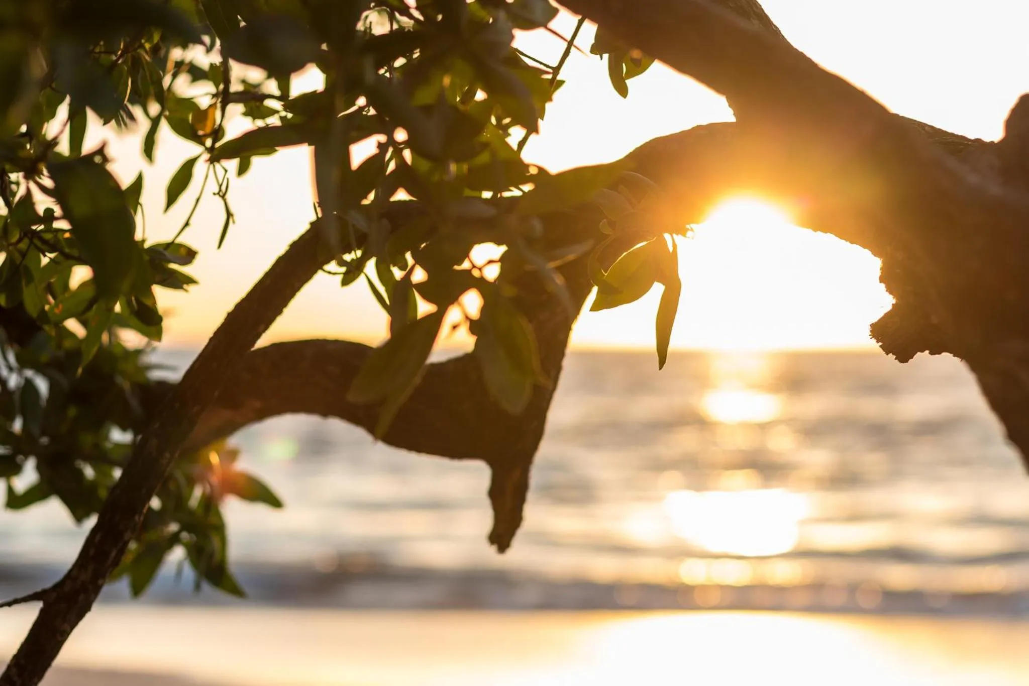 Summer in Casas del Toro Playa Flamingo