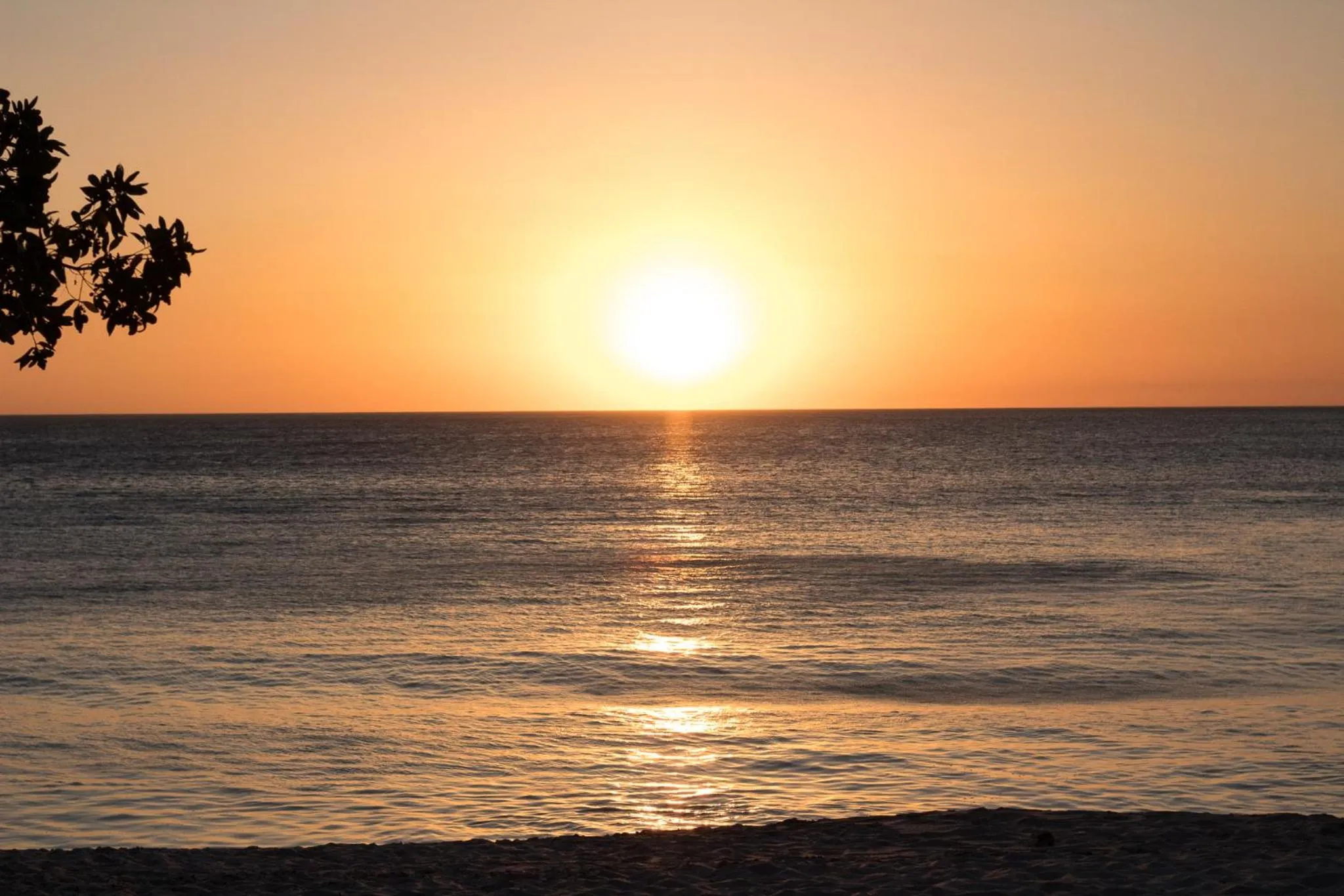 Beach in Casas del Toro Playa Flamingo