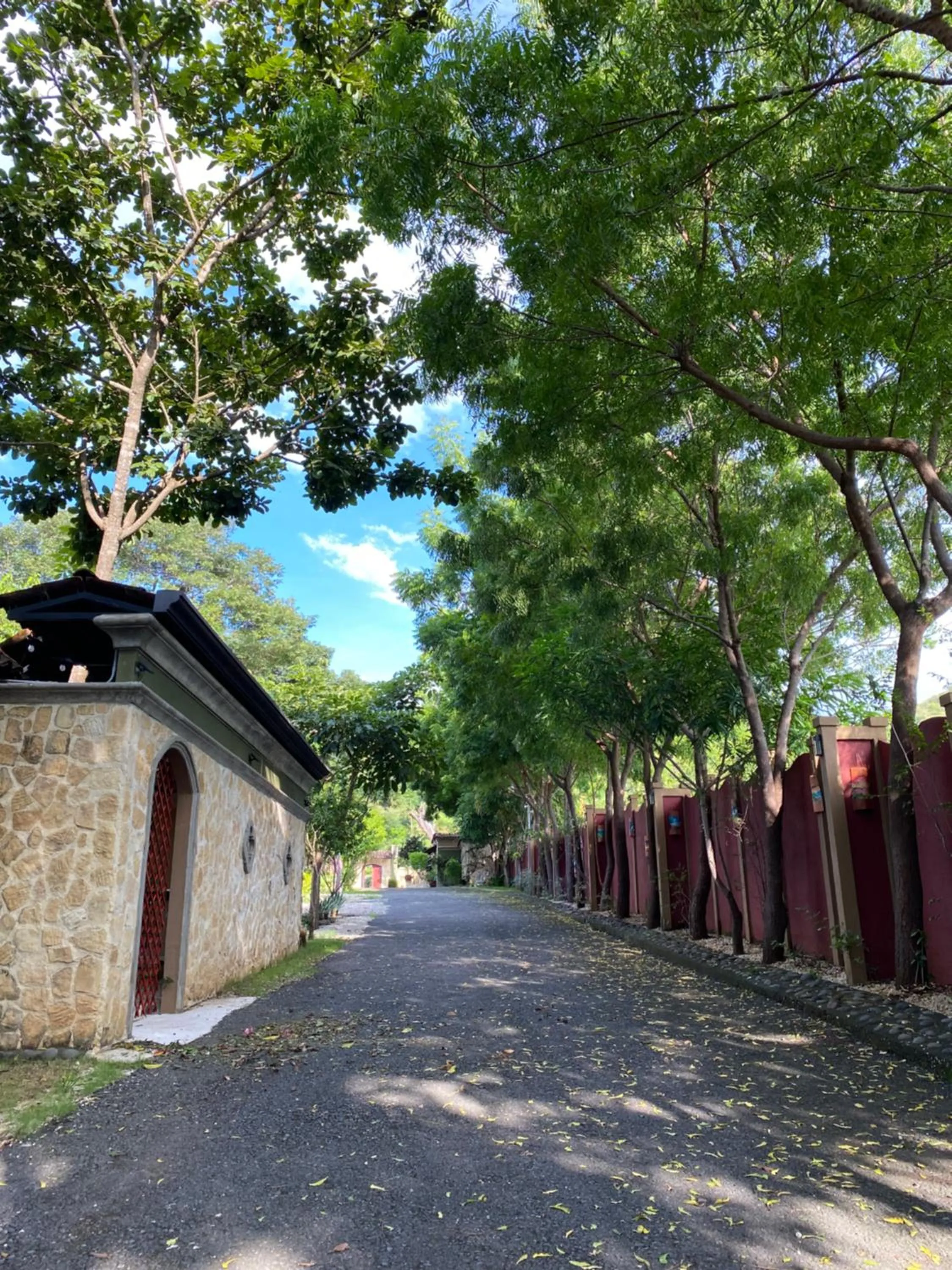 Day in Casas del Toro Playa Flamingo