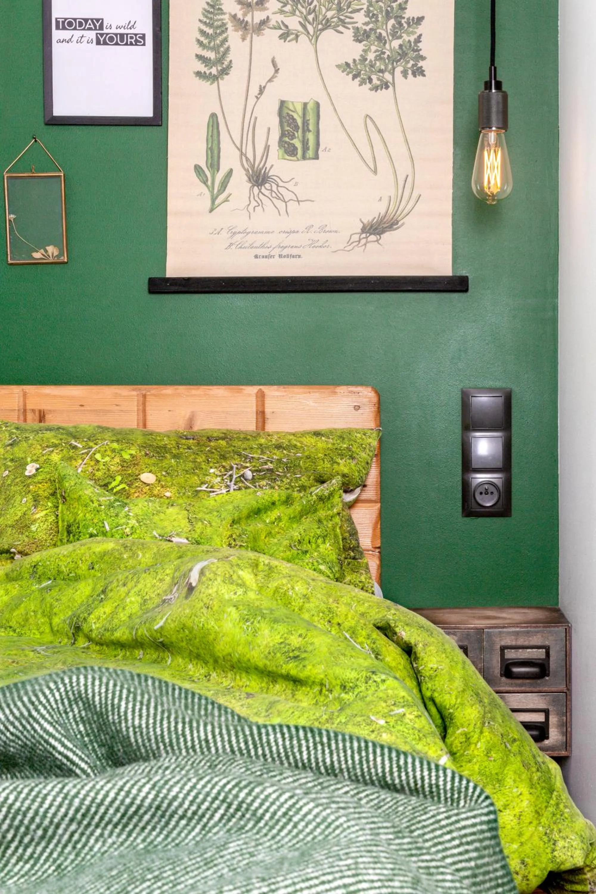 Bedroom, Bed in Green Deer Premium