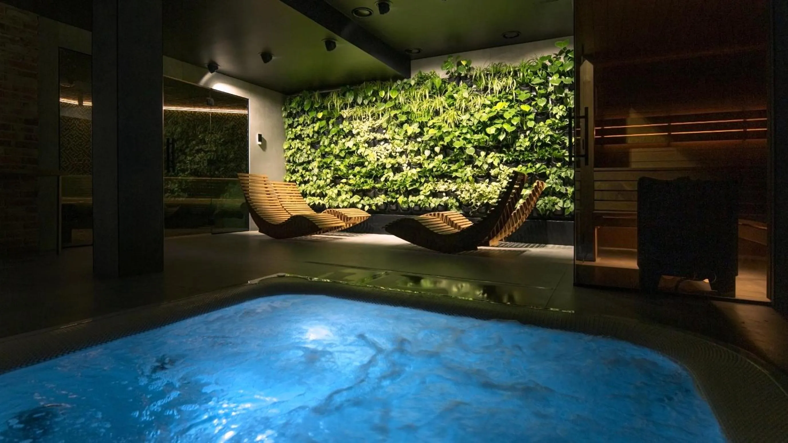 Sauna in Green Deer Premium