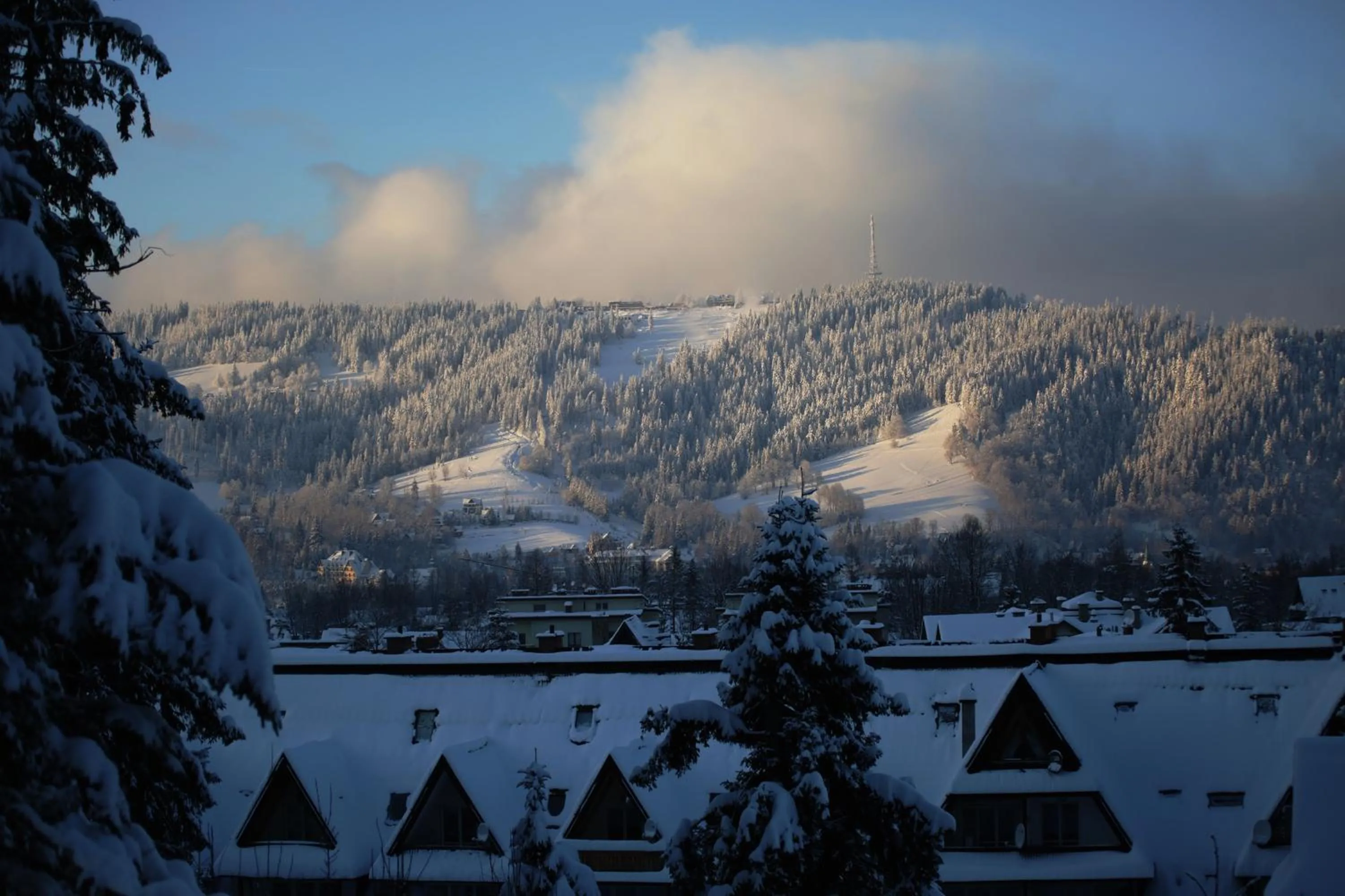 Winter in Green Deer Premium