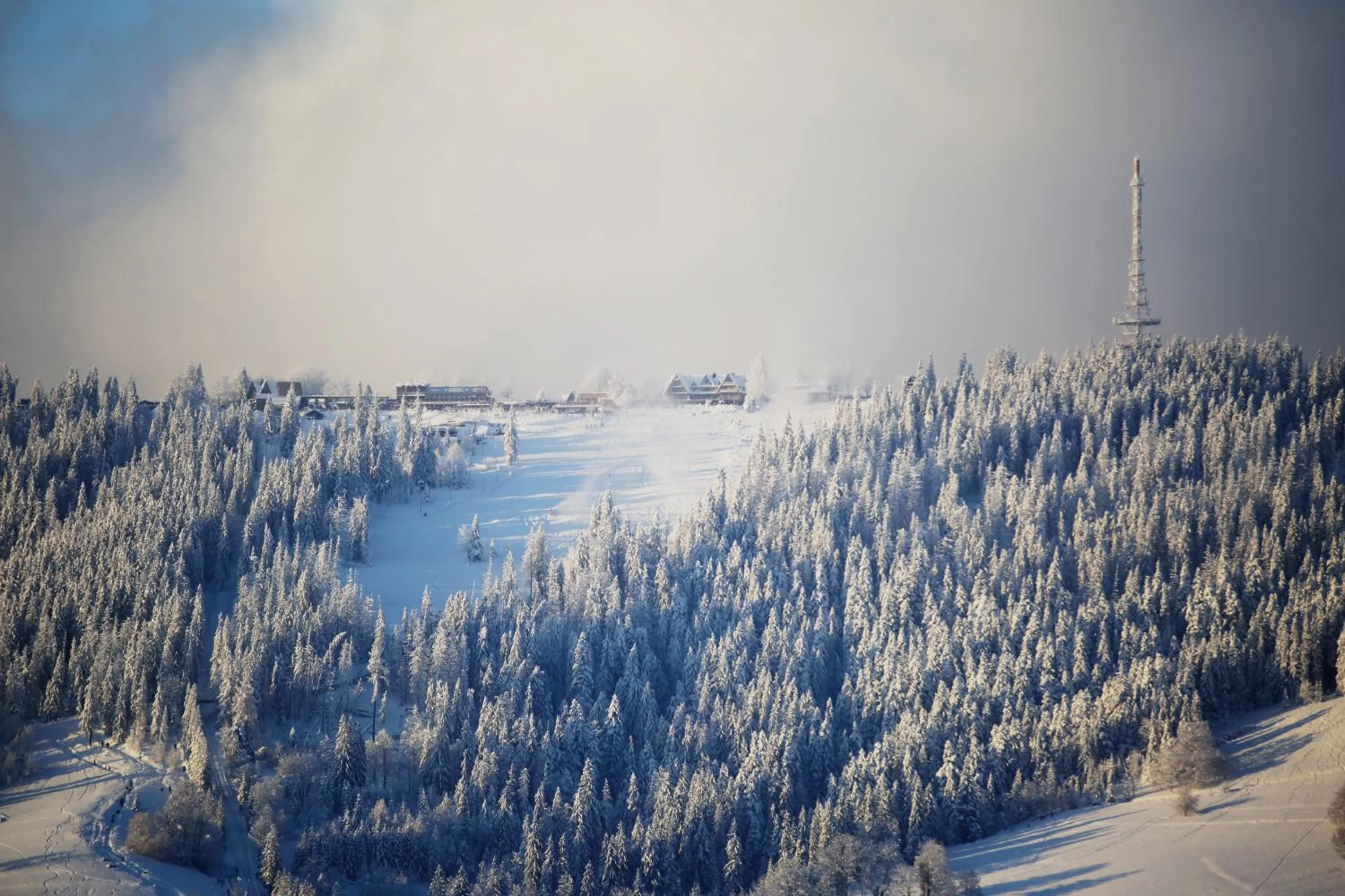 Winter in Green Deer Premium