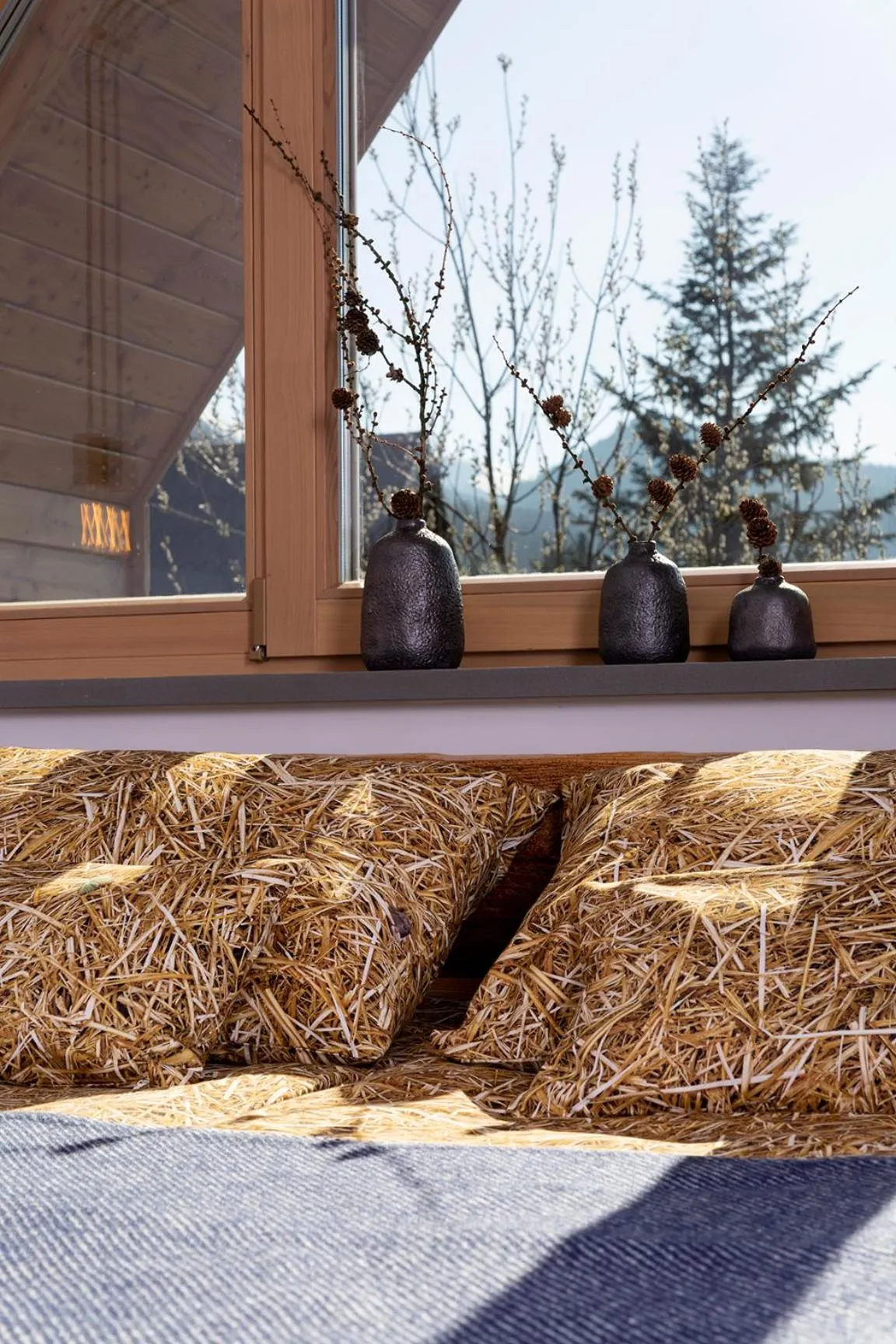 Photo of the whole room in Green Deer Premium