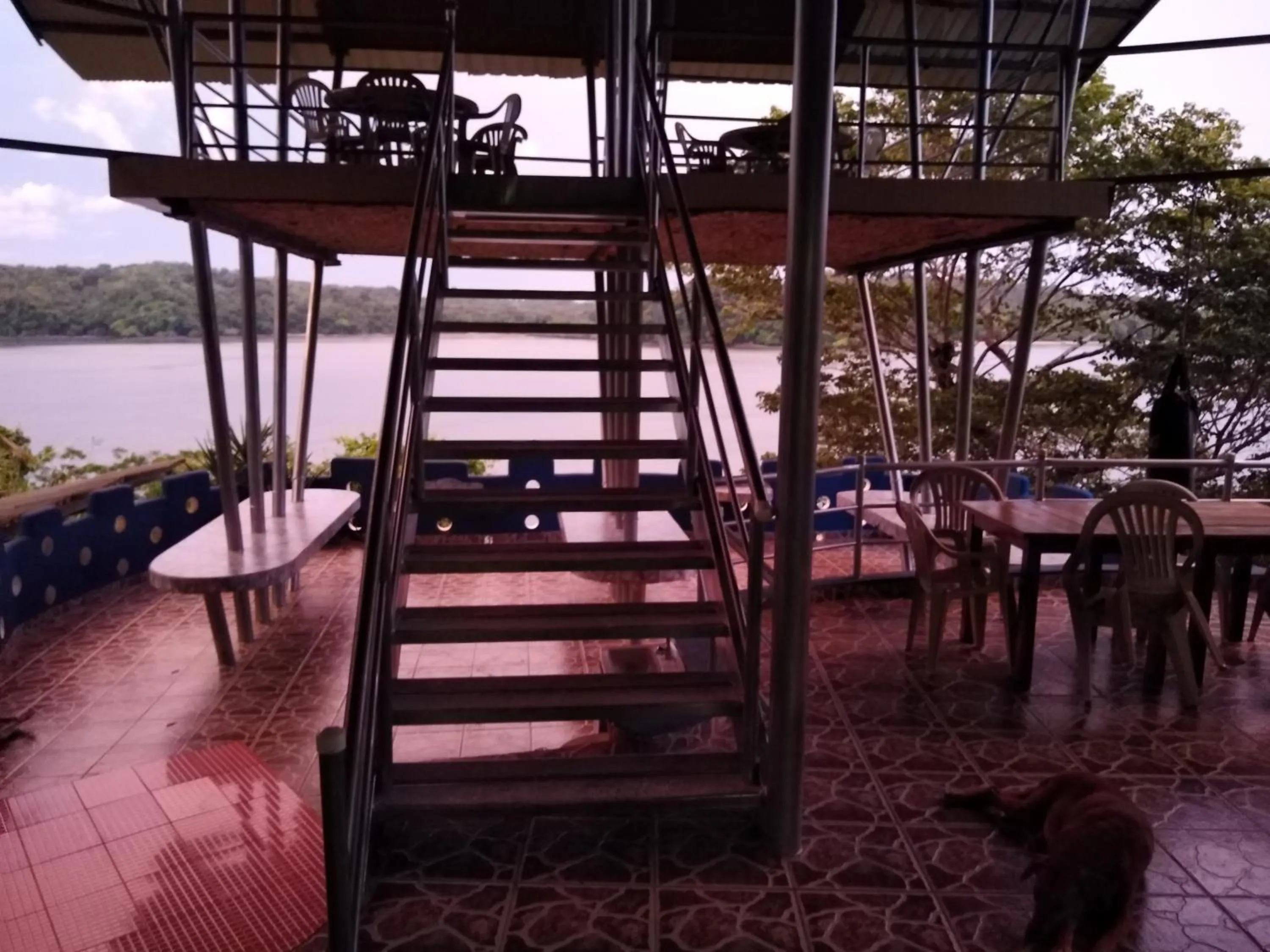 Restaurant/places to eat in Boca Brava Lodge
