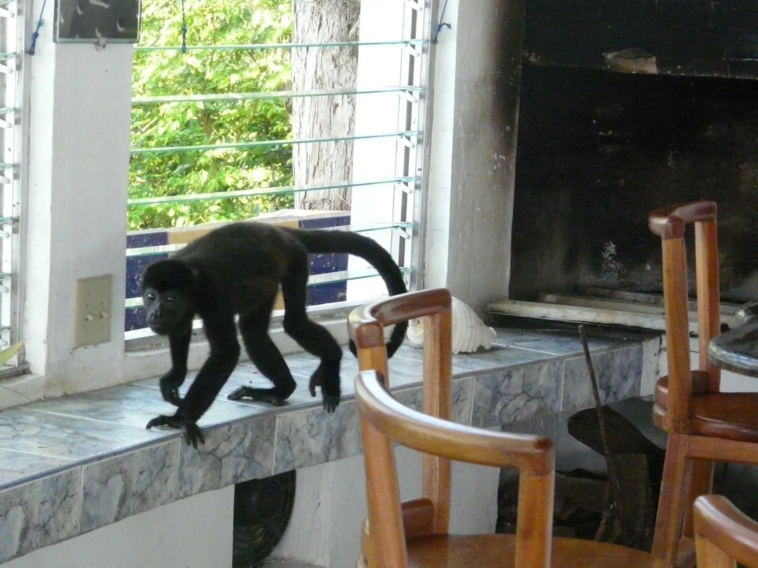 Boca Brava Lodge