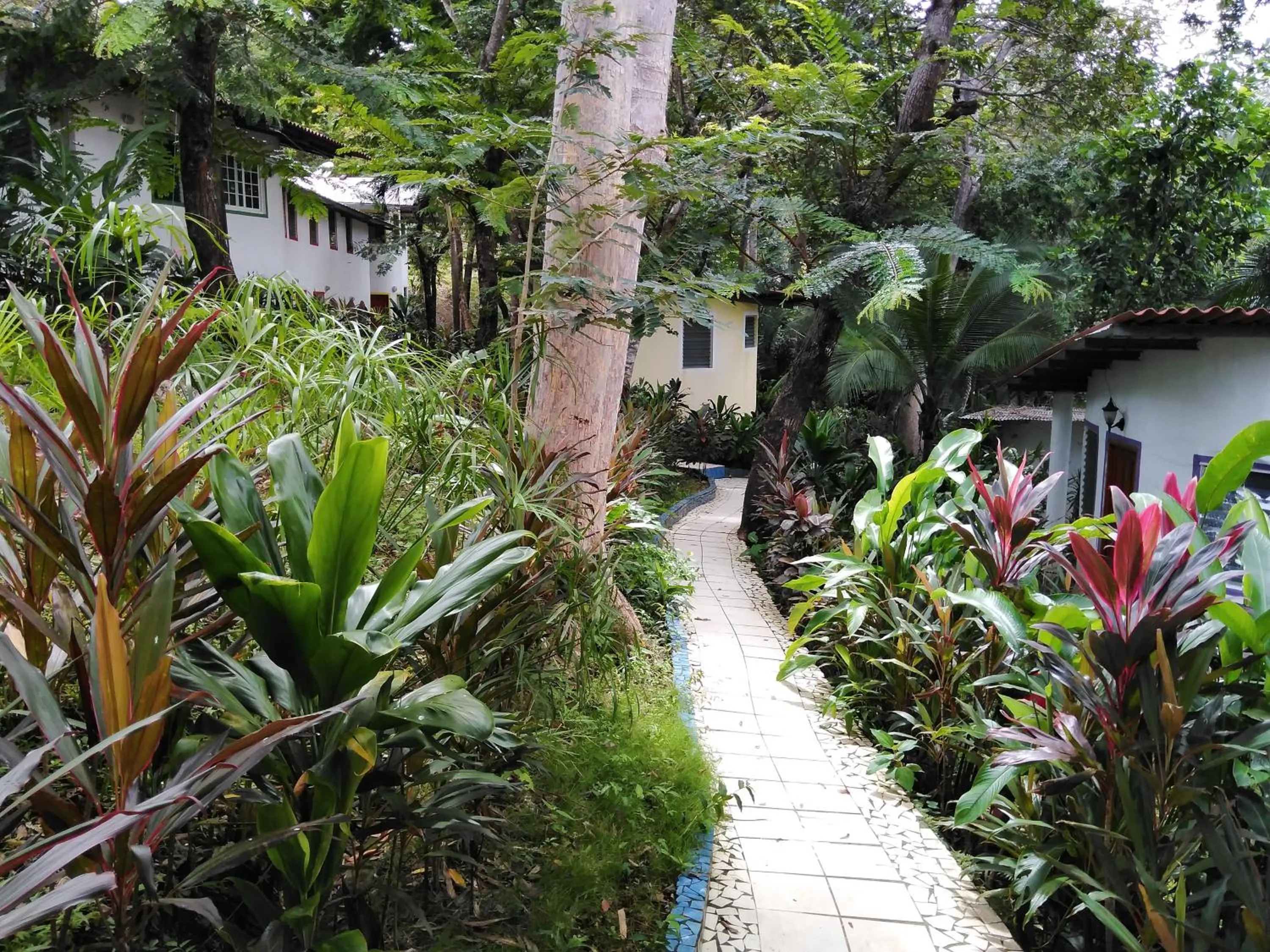 Boca Brava Lodge