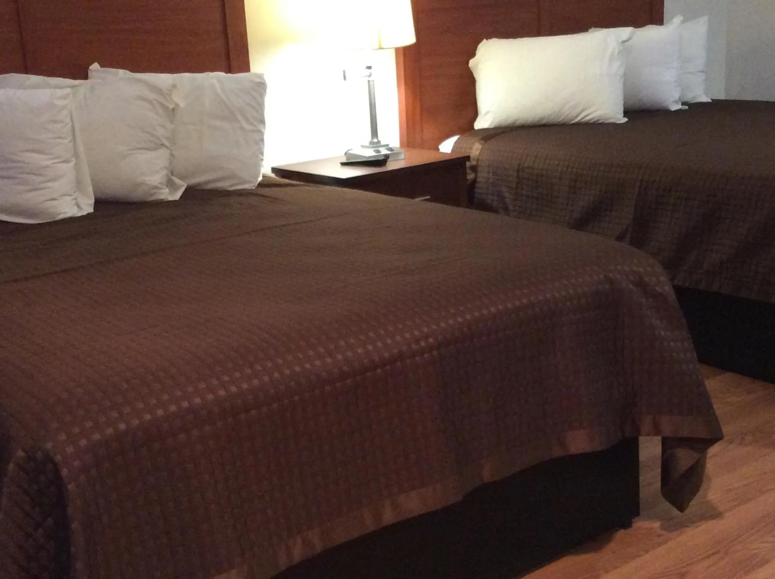 Photo of the whole room, Bed in La Plaza Inn