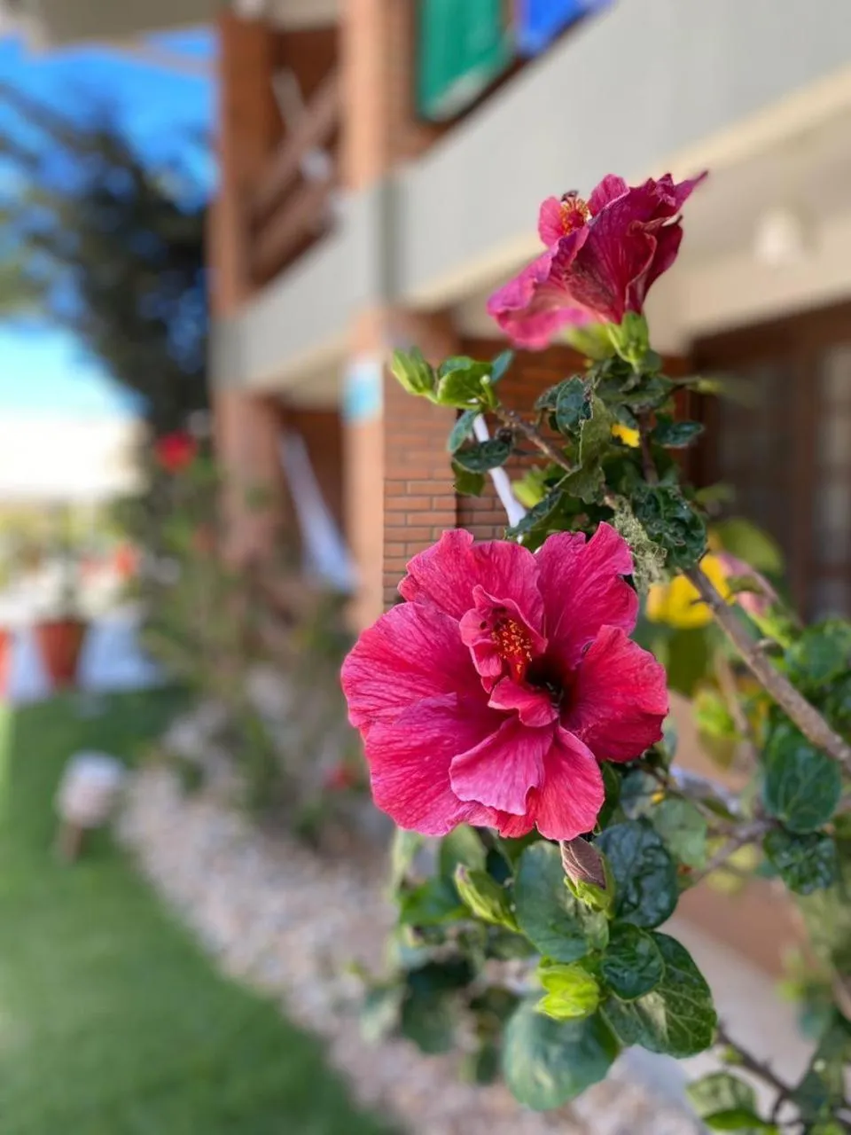 Pousada Ponta do Lobo