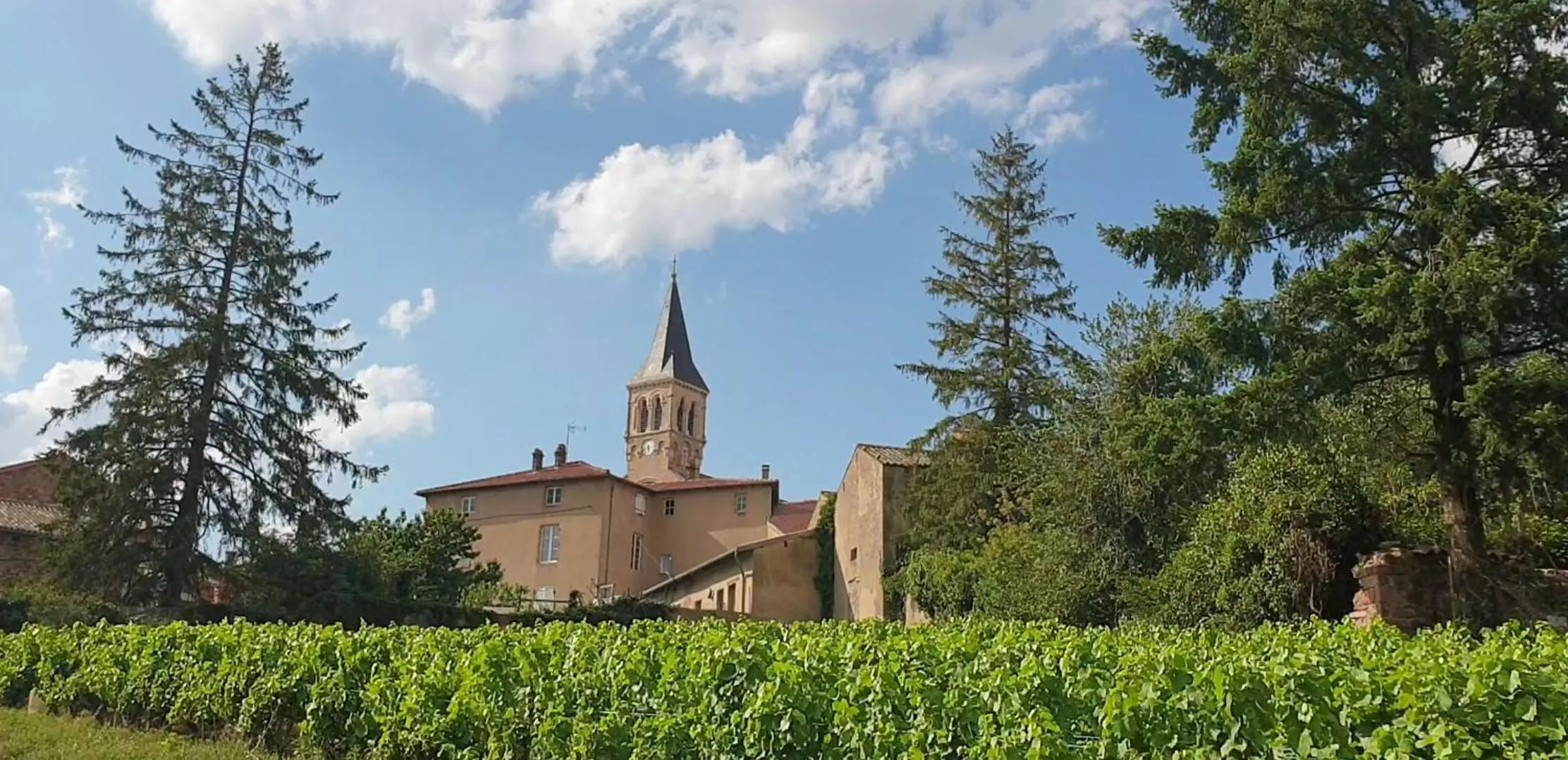 City view in La Rose