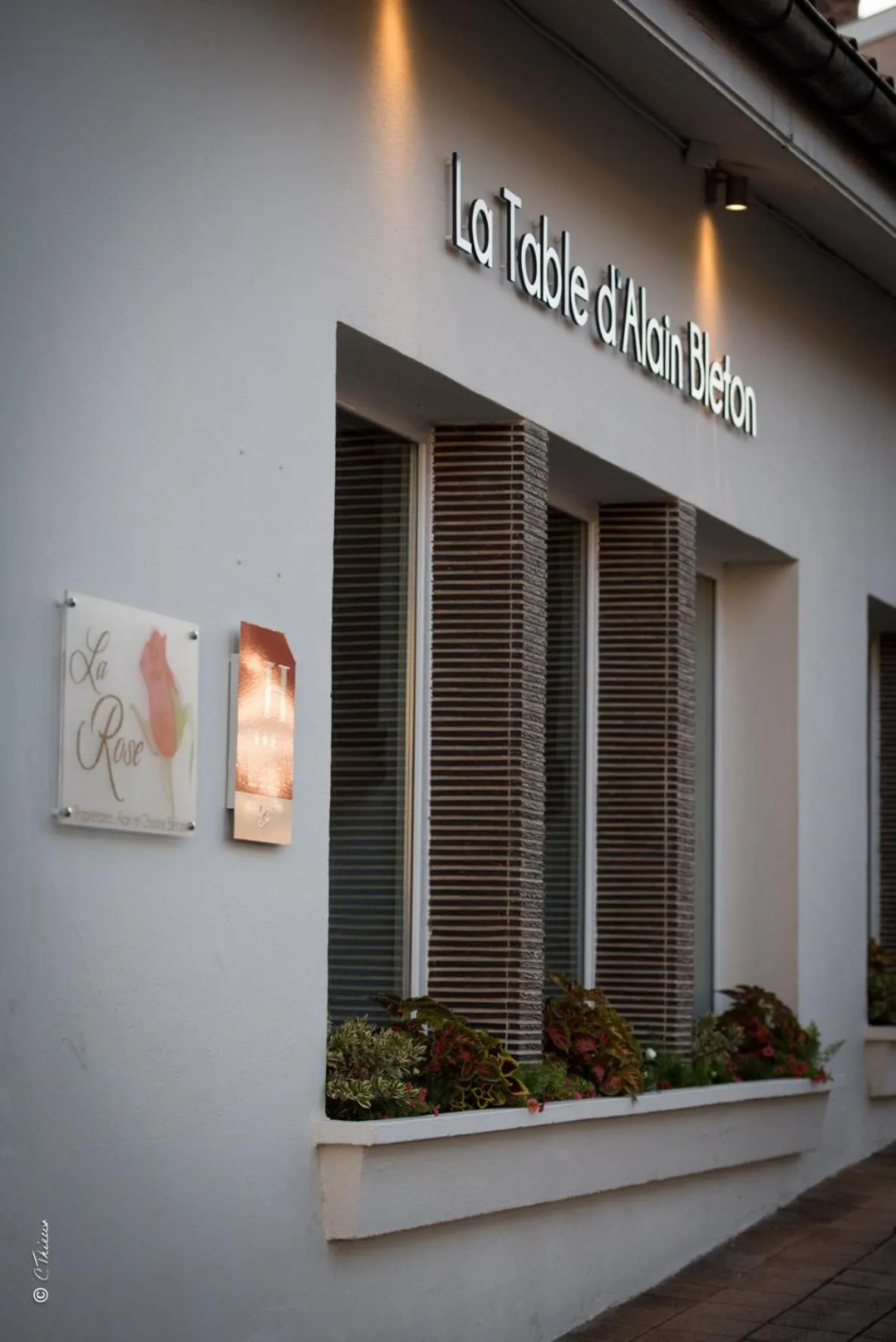 Logo/Certificate/Sign in La Rose