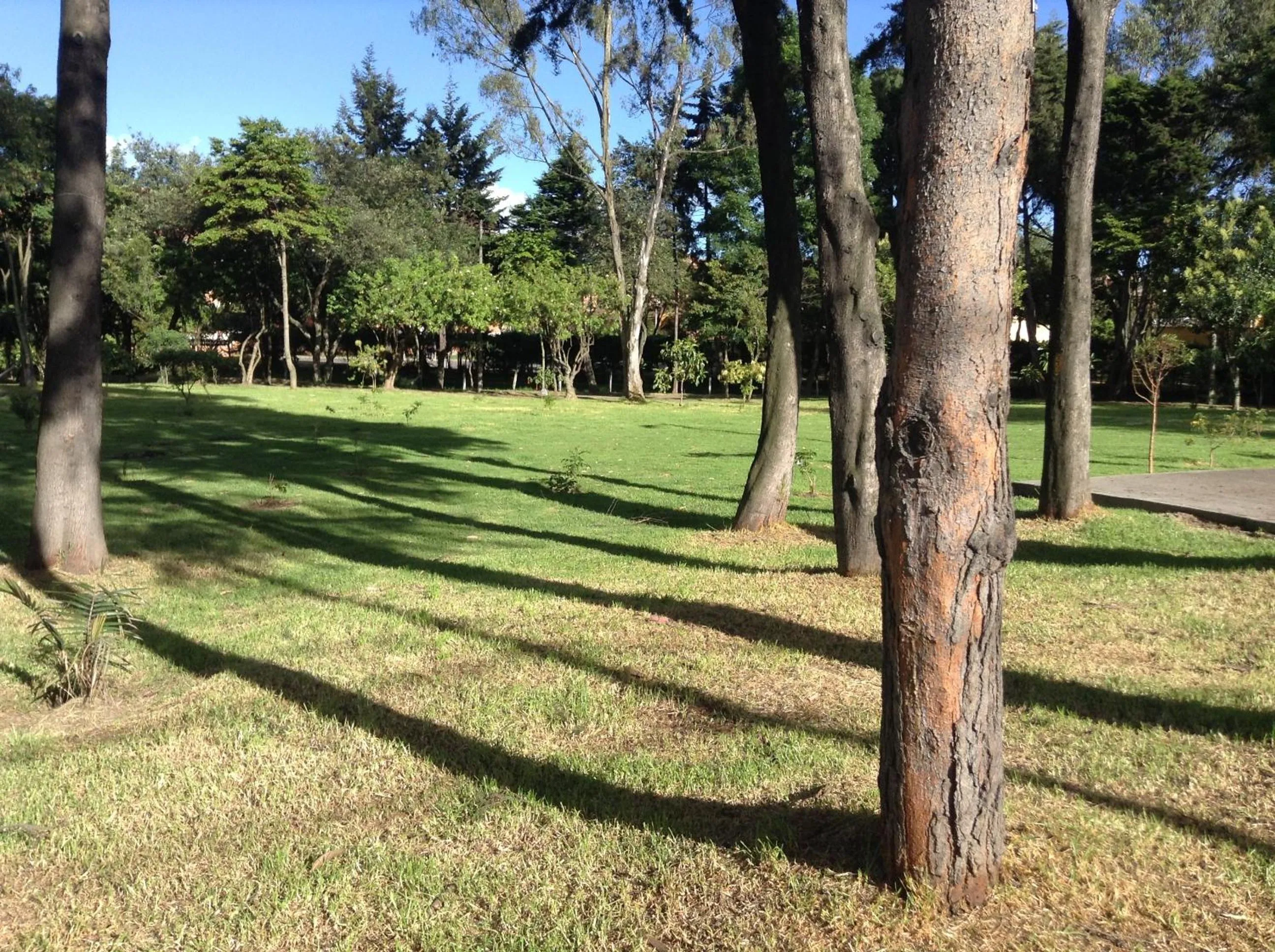 Decorative detail in Casa Posada Amelia