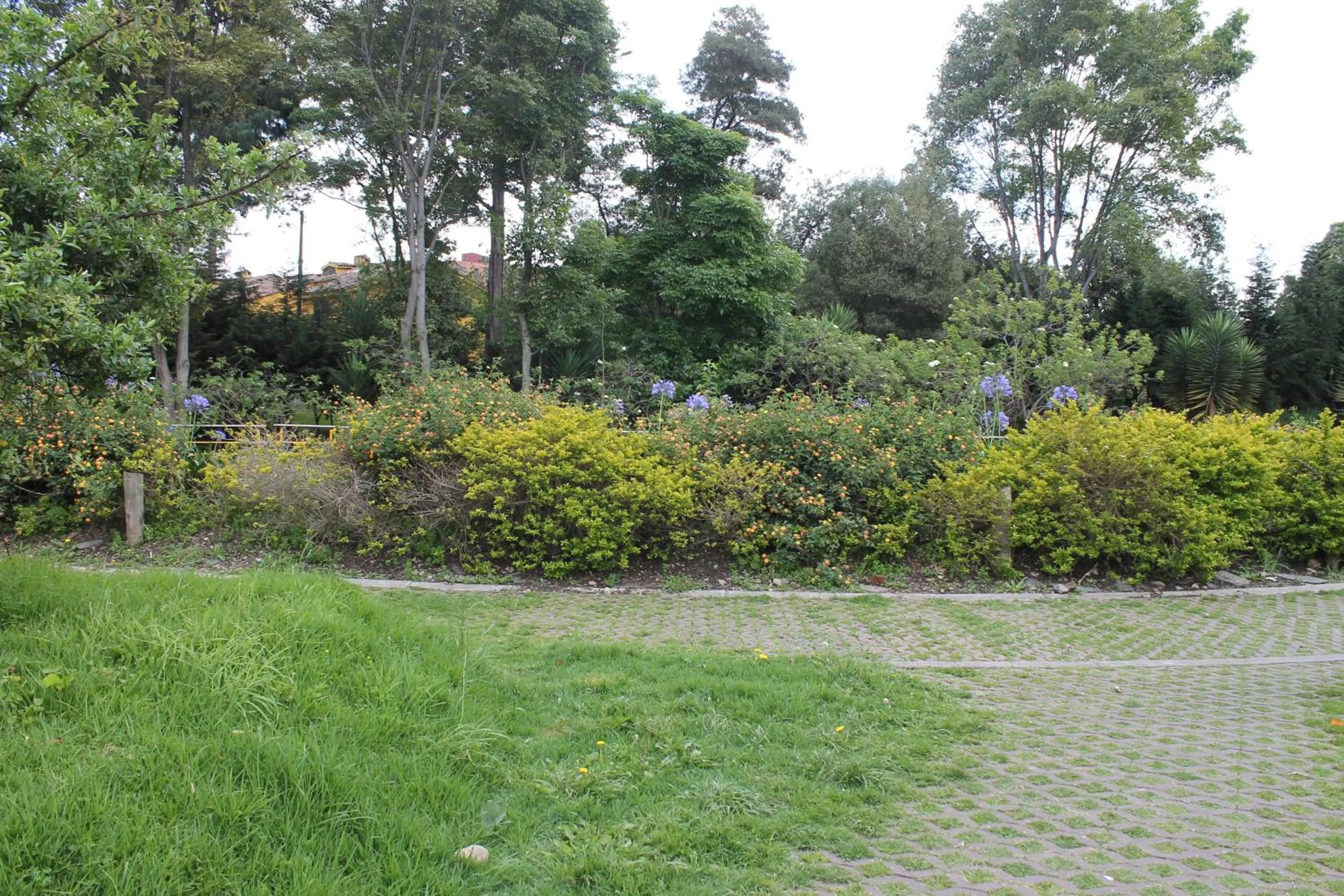 Property building in Casa Posada Amelia