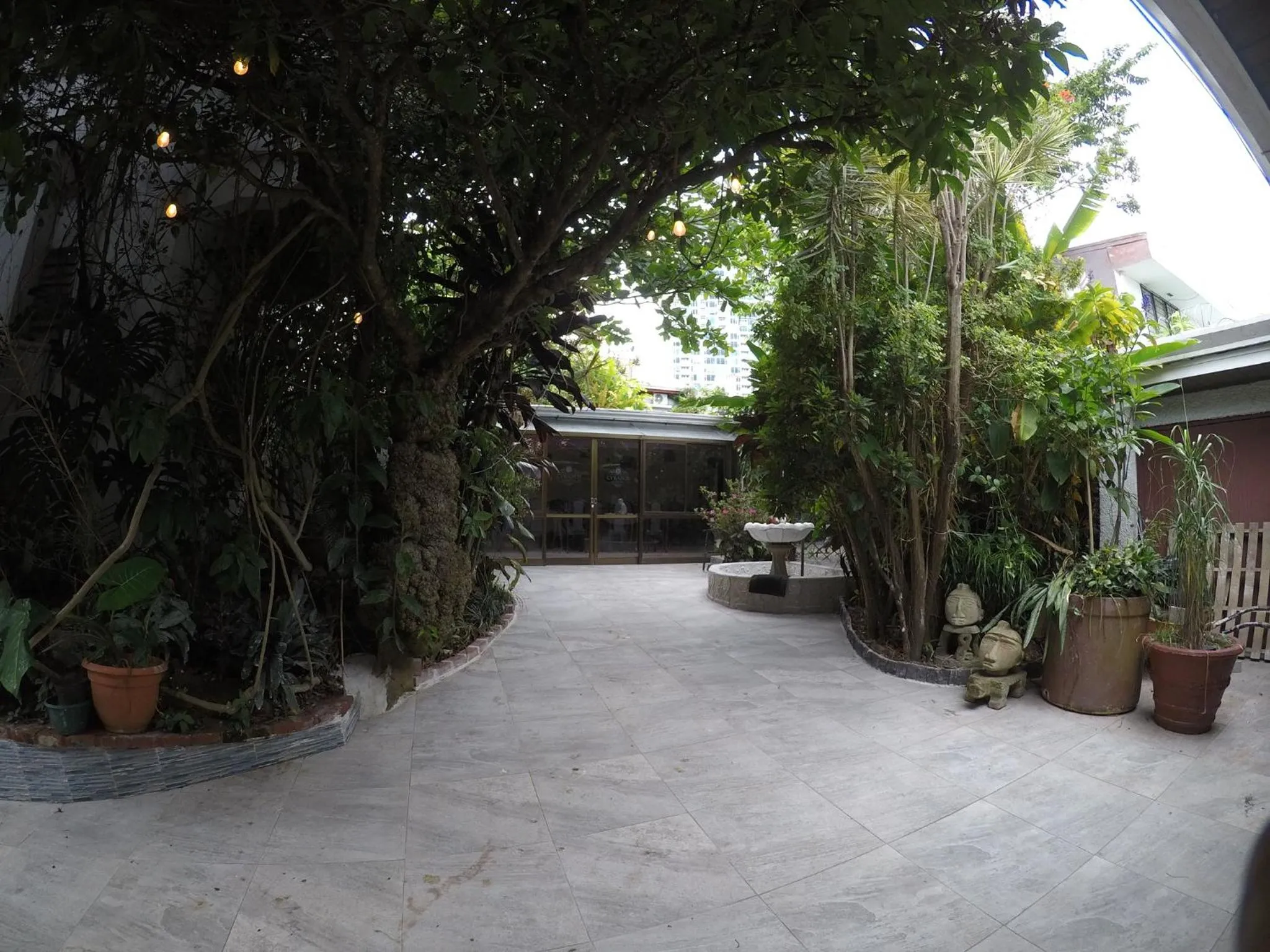 Garden view in La Bergerac Boutique Hotel