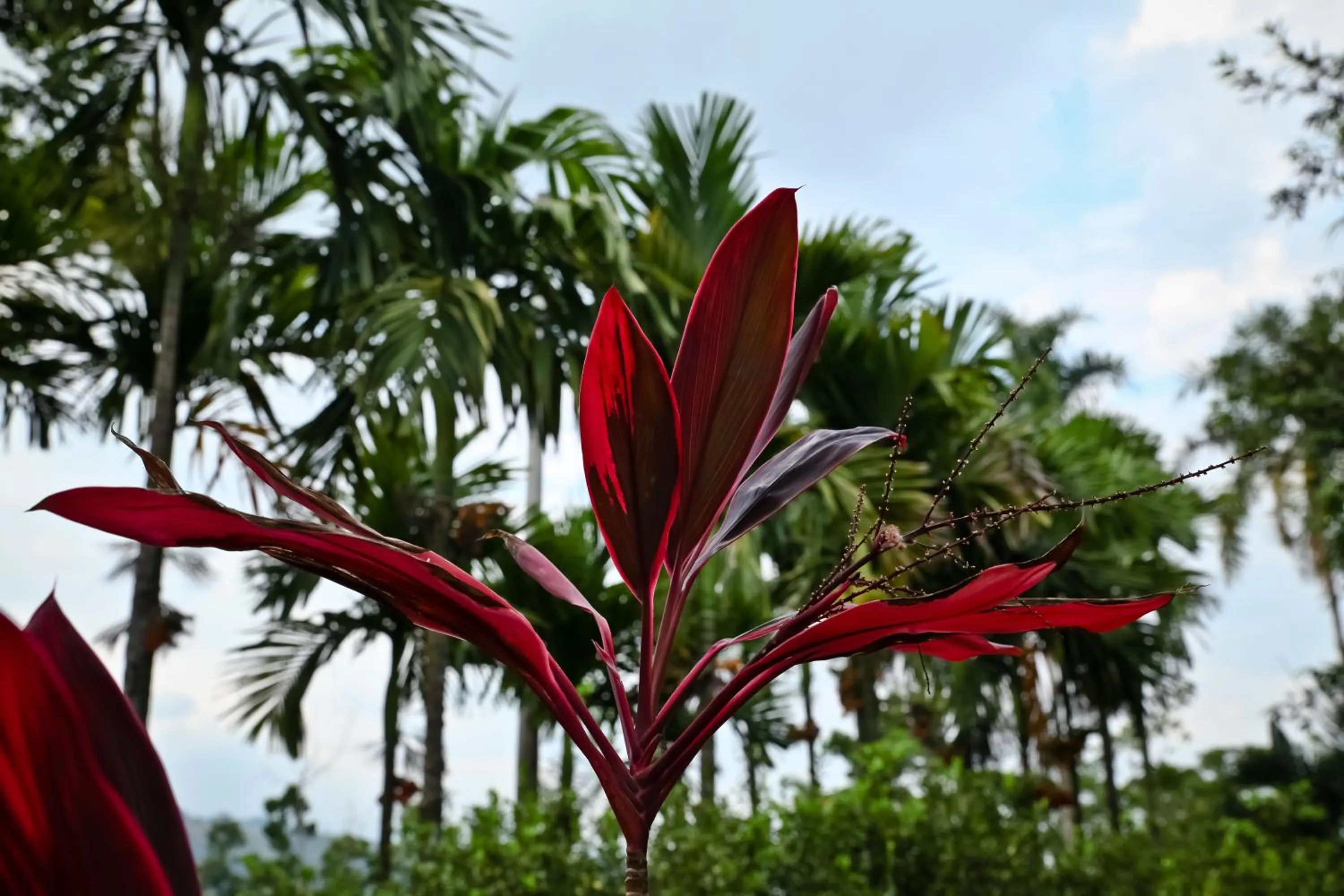 Activities in Hotel Boutique Villas de San Sebastián